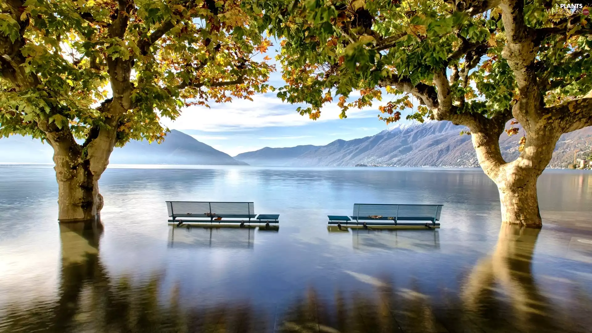 lake, Mountains, viewes, bench, trees