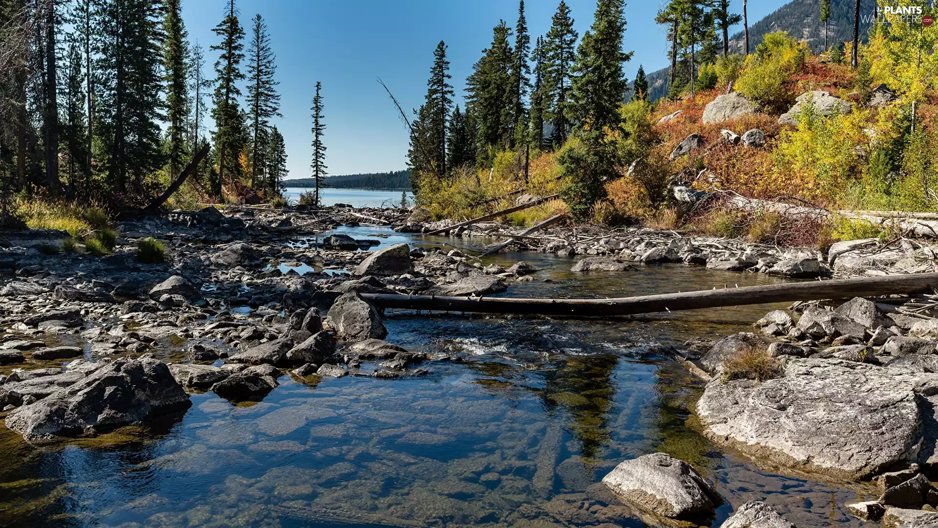 Stones, Mountains, viewes, River, trees
