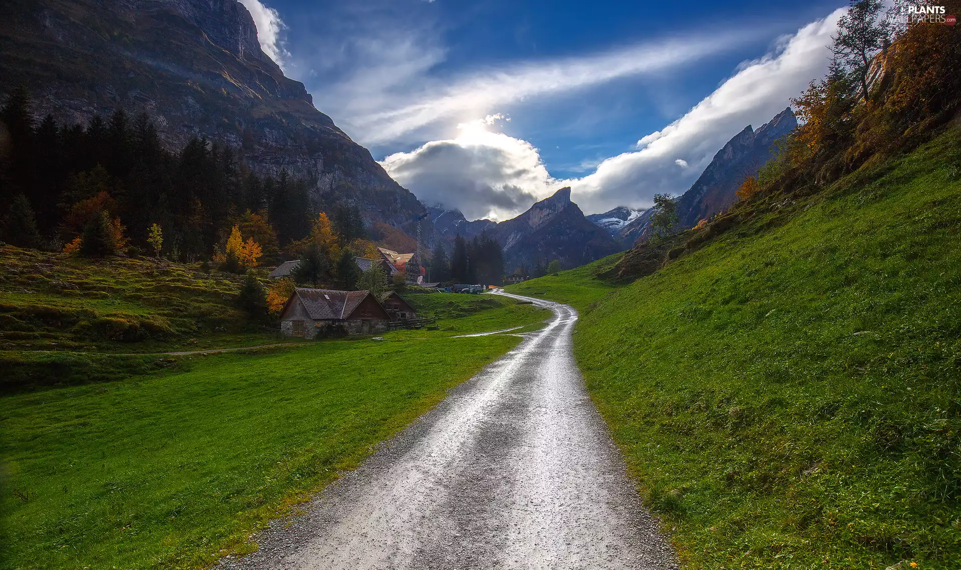Houses, Way, viewes, Mountains, autumn, trees, grass