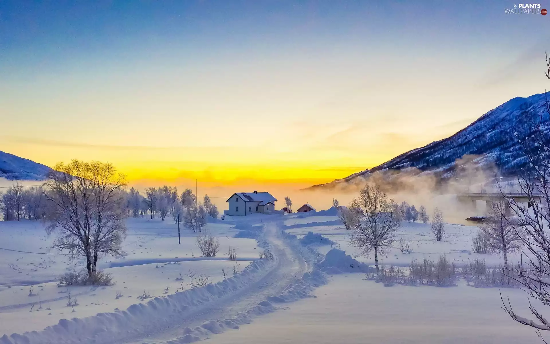 house, winter, viewes, Mountains, trees, Way