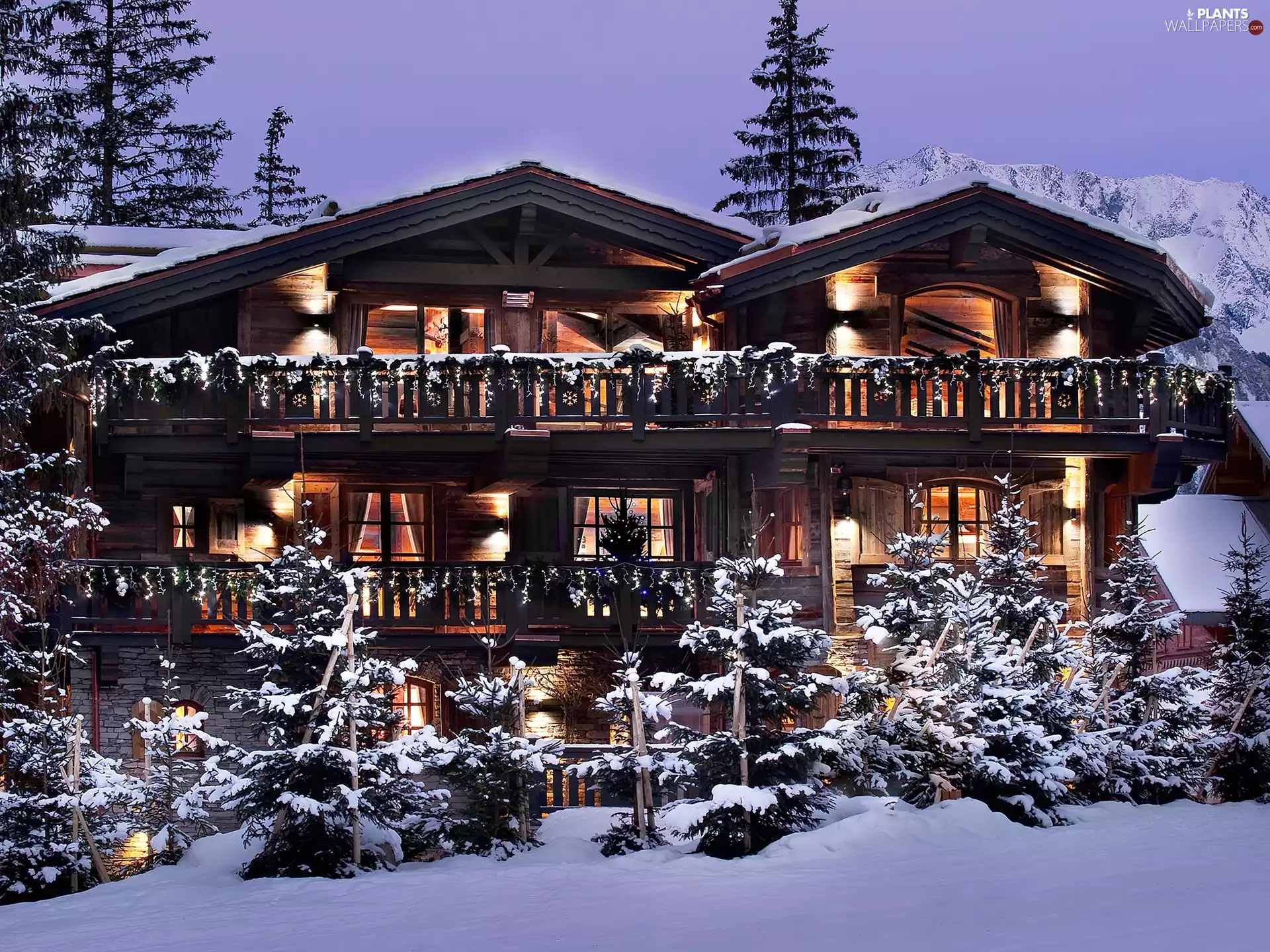 winter, Home, Spruces, Mountains