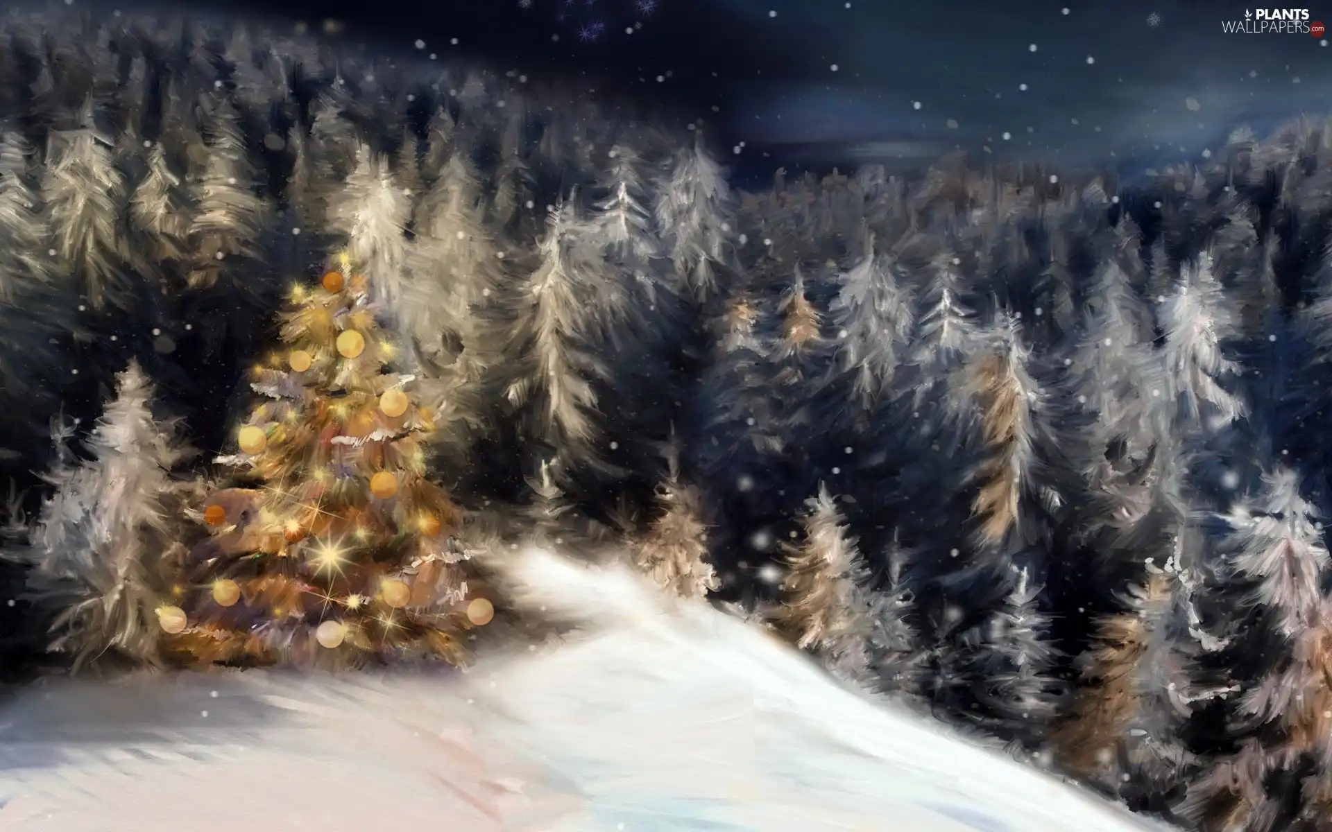 Mountains, winter, forest, christmas tree, Spruces