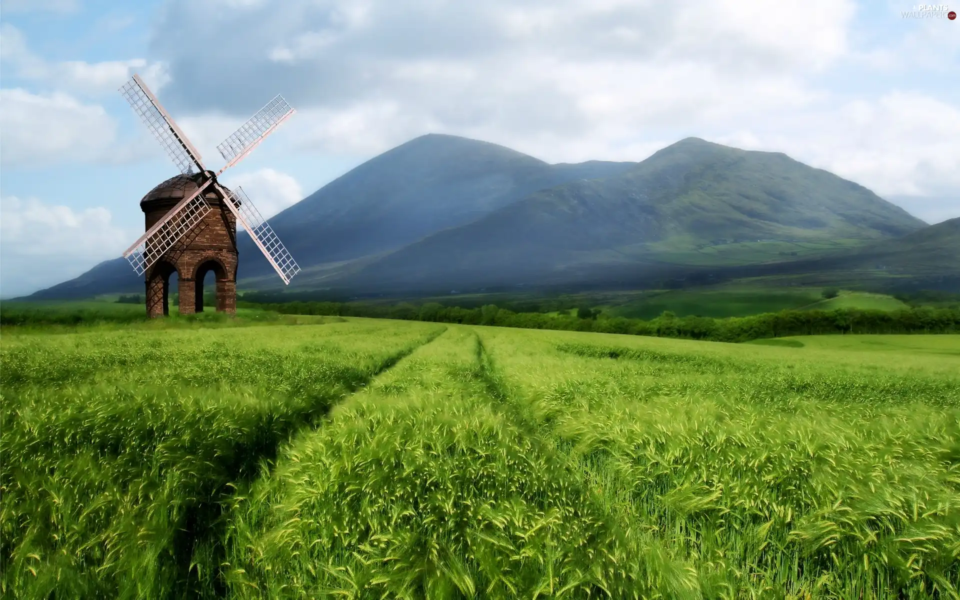 Mountains, woods, field, corn, Windmill