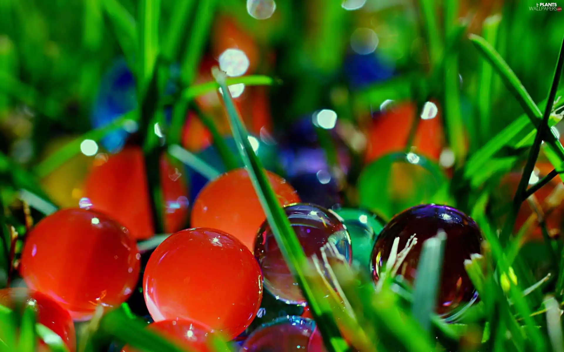 M&Ms balls, grass, color