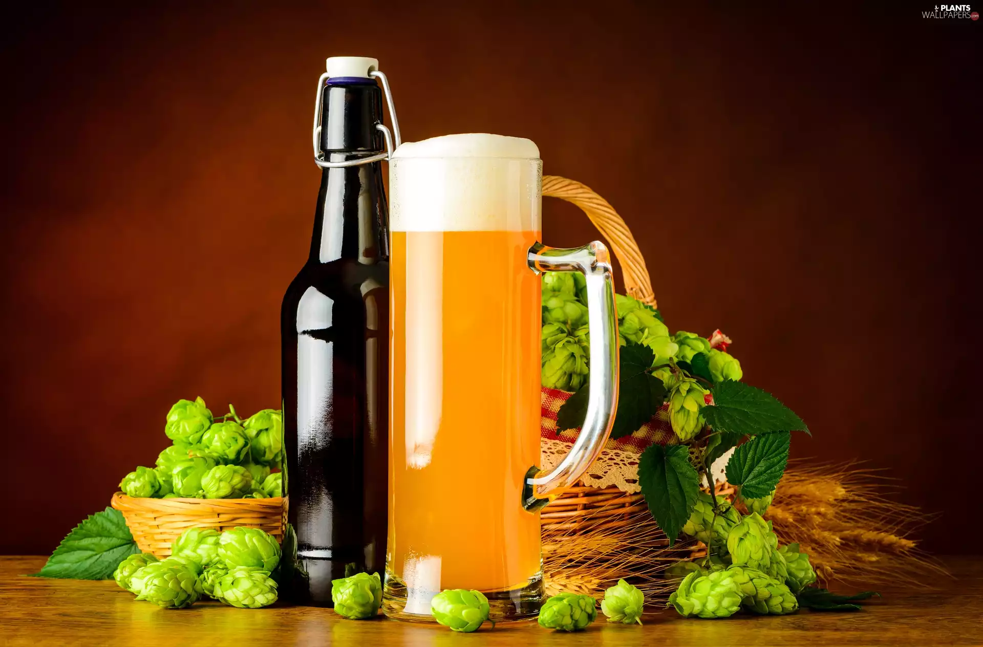 Beer, Bottle, hop, mug