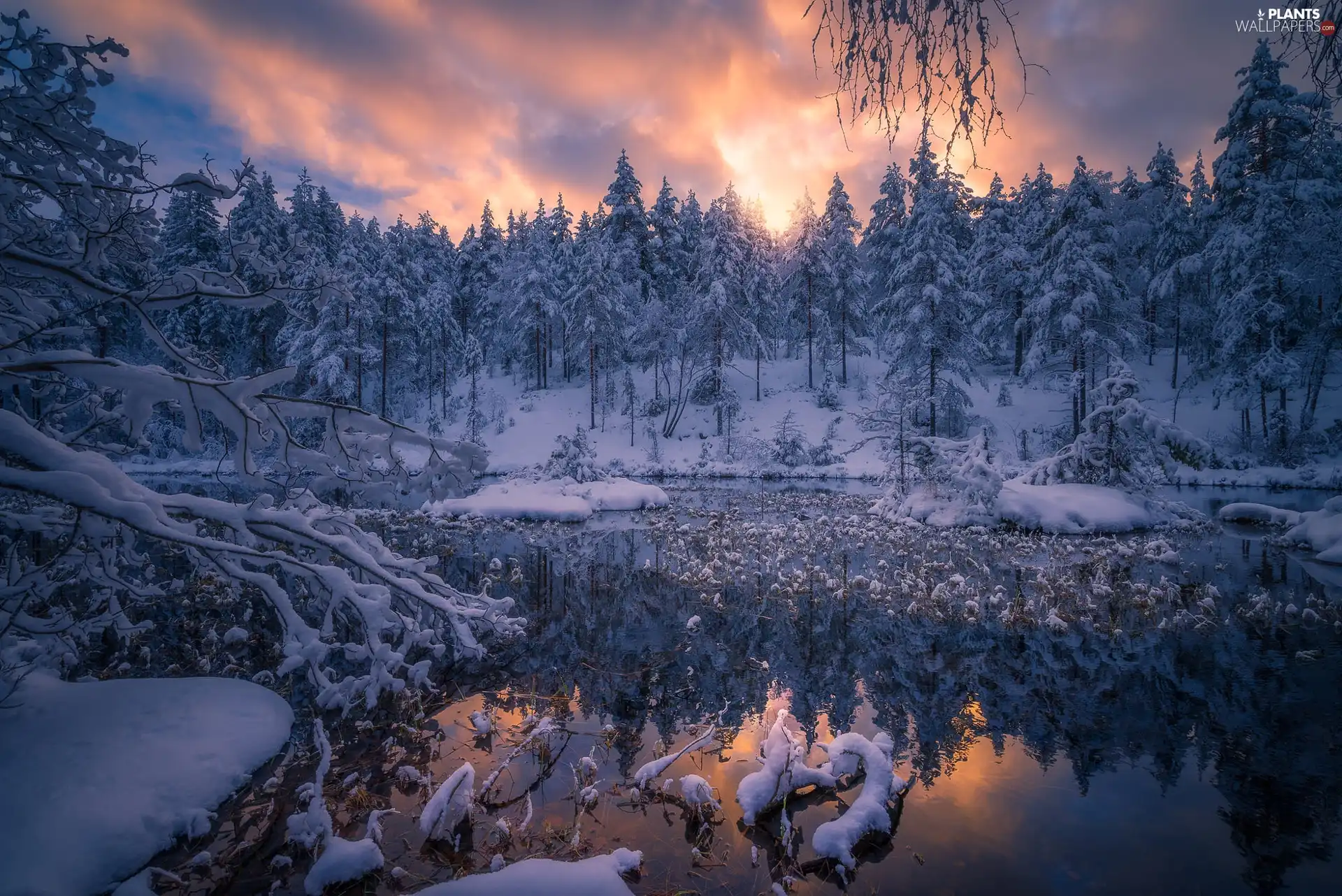 winter, Pond - car, viewes, Ringerike Municipality, Norway, trees, snow