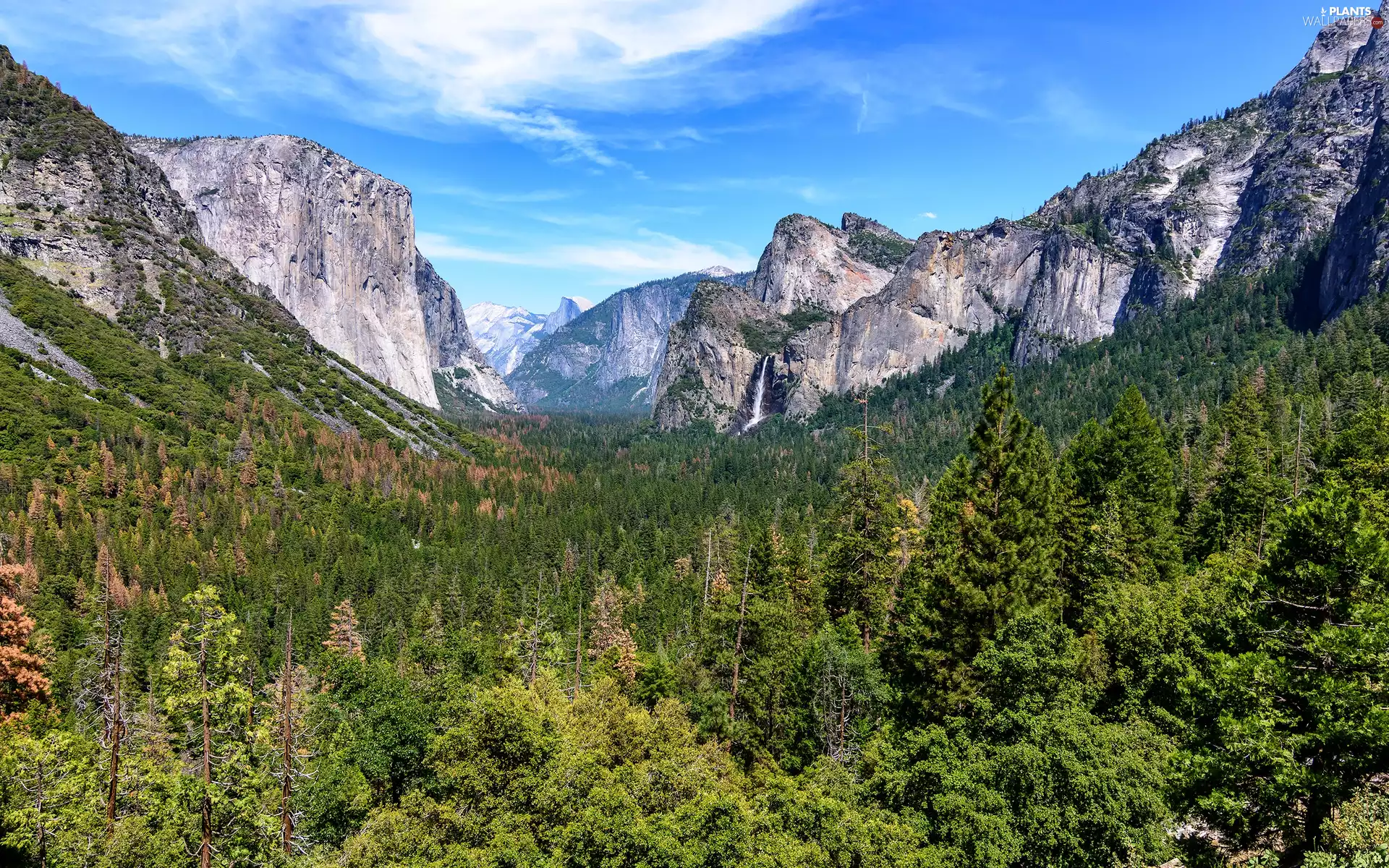 trees, Mountains, State of California, Yosemite Valley, Yosemite National Park, viewes, The United States