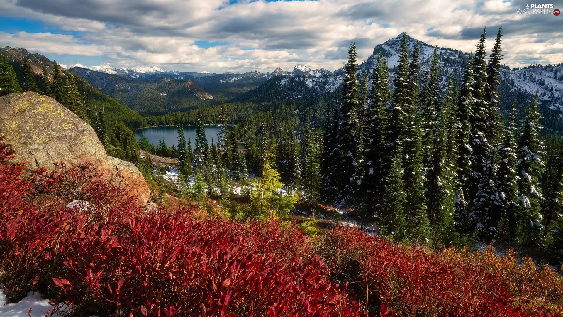 Washington State, The United States, Mount Rainier National Park, Mountains, viewes, clouds, lake, trees, woods