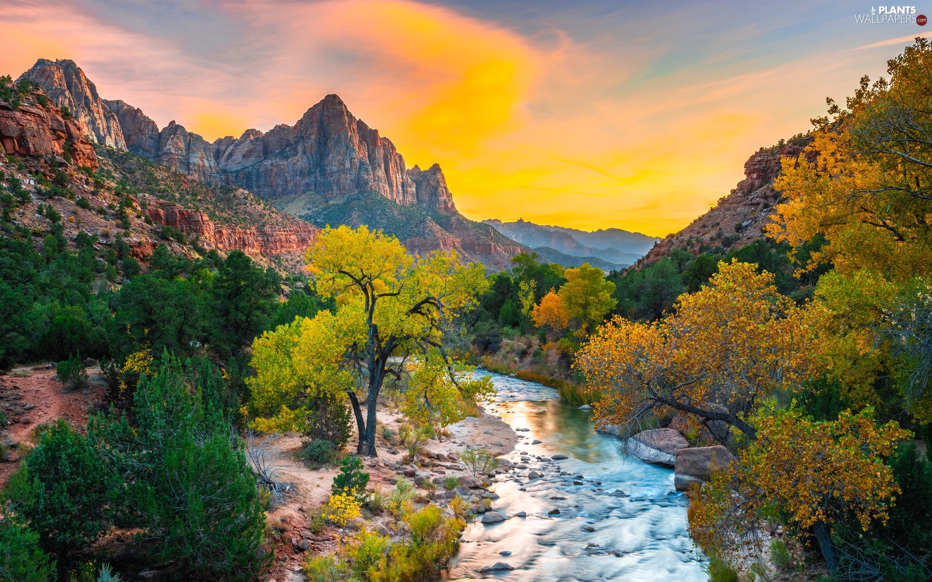 Utah State, The United States, Zion National Park, Watchman Mountains, viewes, Sunrise, Stones, trees, Virgin River