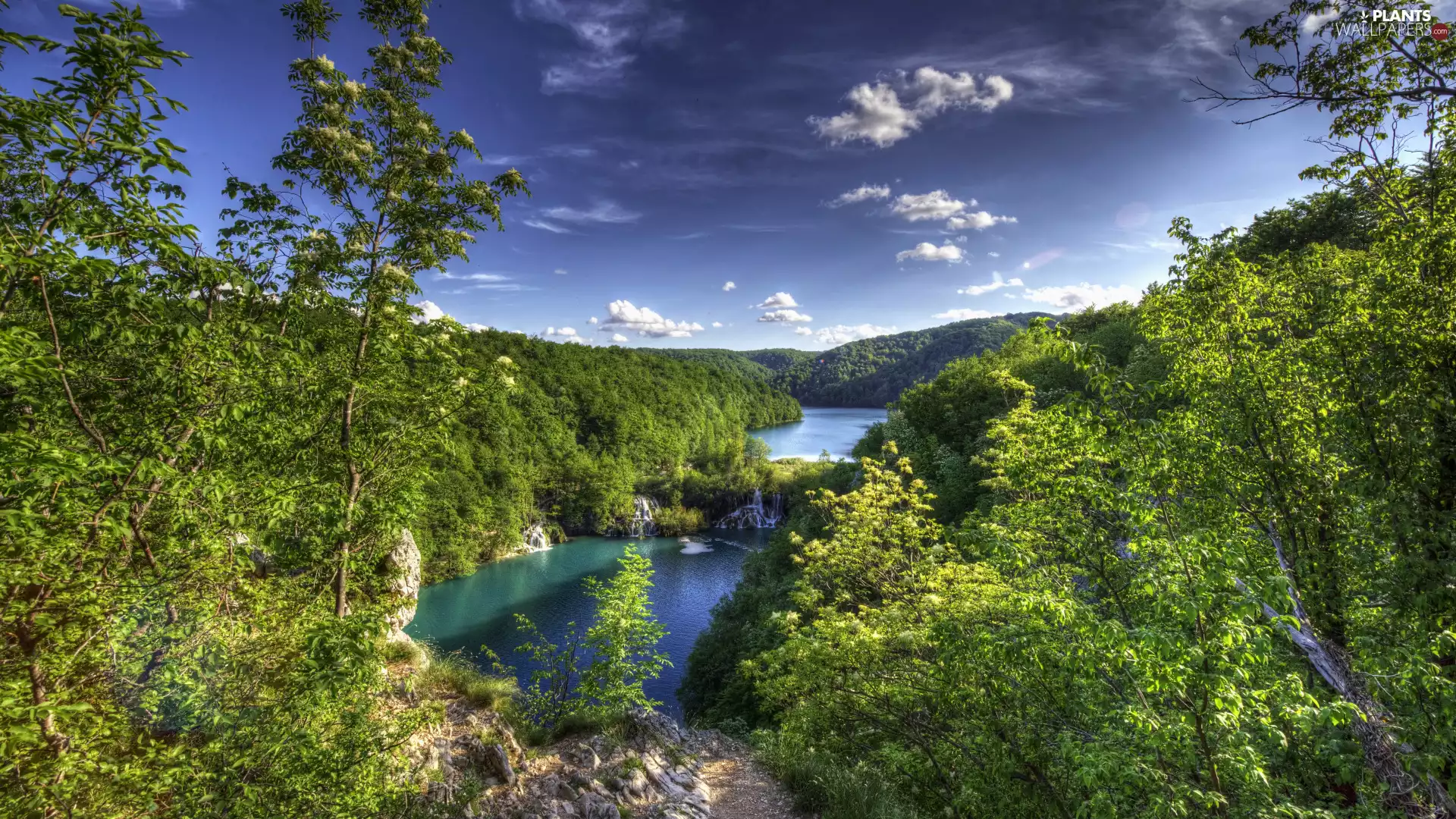 lakes, green ones, Coartia, trees, woods, waterfalls, Plitvice Lakes National Park, viewes