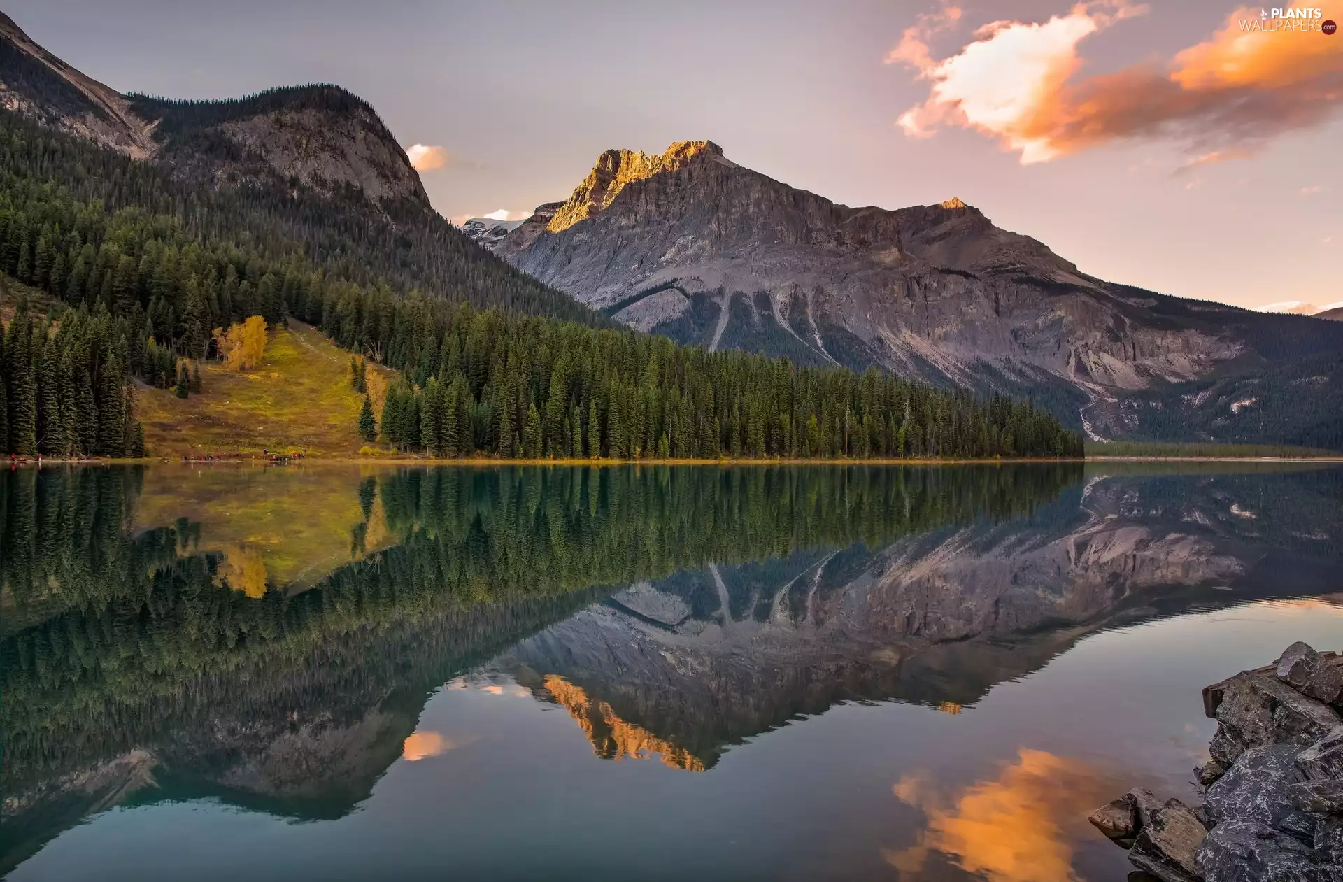 Emerald Lake, British Columbia, Spruces, Yoho National Park, Canada, Mountains, reflection