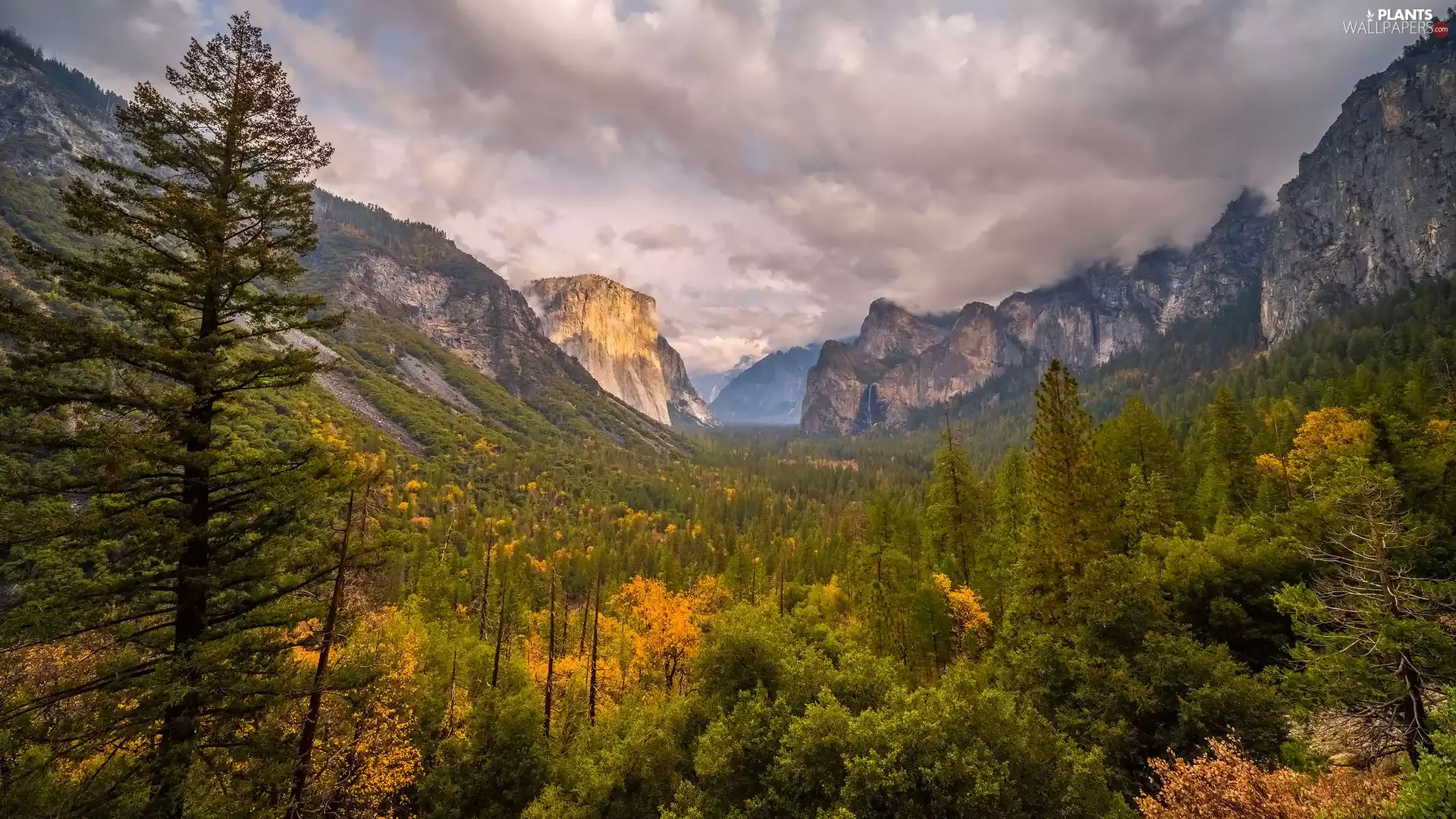 clouds, viewes, California, Mountains, trees, Yosemite National Park, The United States