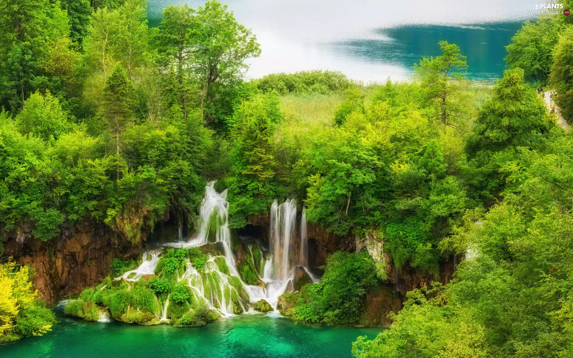 trees, viewes, Coartia, Plants, Plitvice Lakes National Park, lakes, waterfalls, rocks