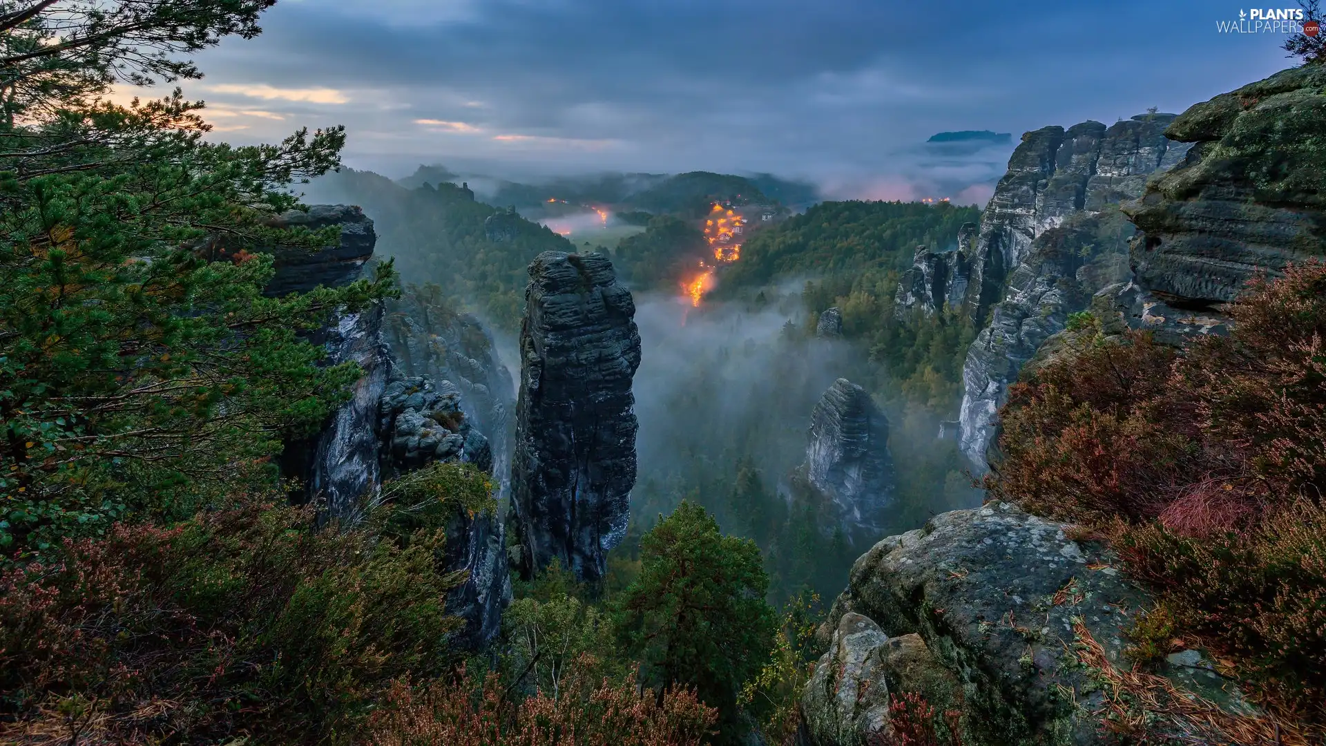 trees, viewes, Germany, Plants, Saxon Switzerland National Park, rocks, Mountains, Fog