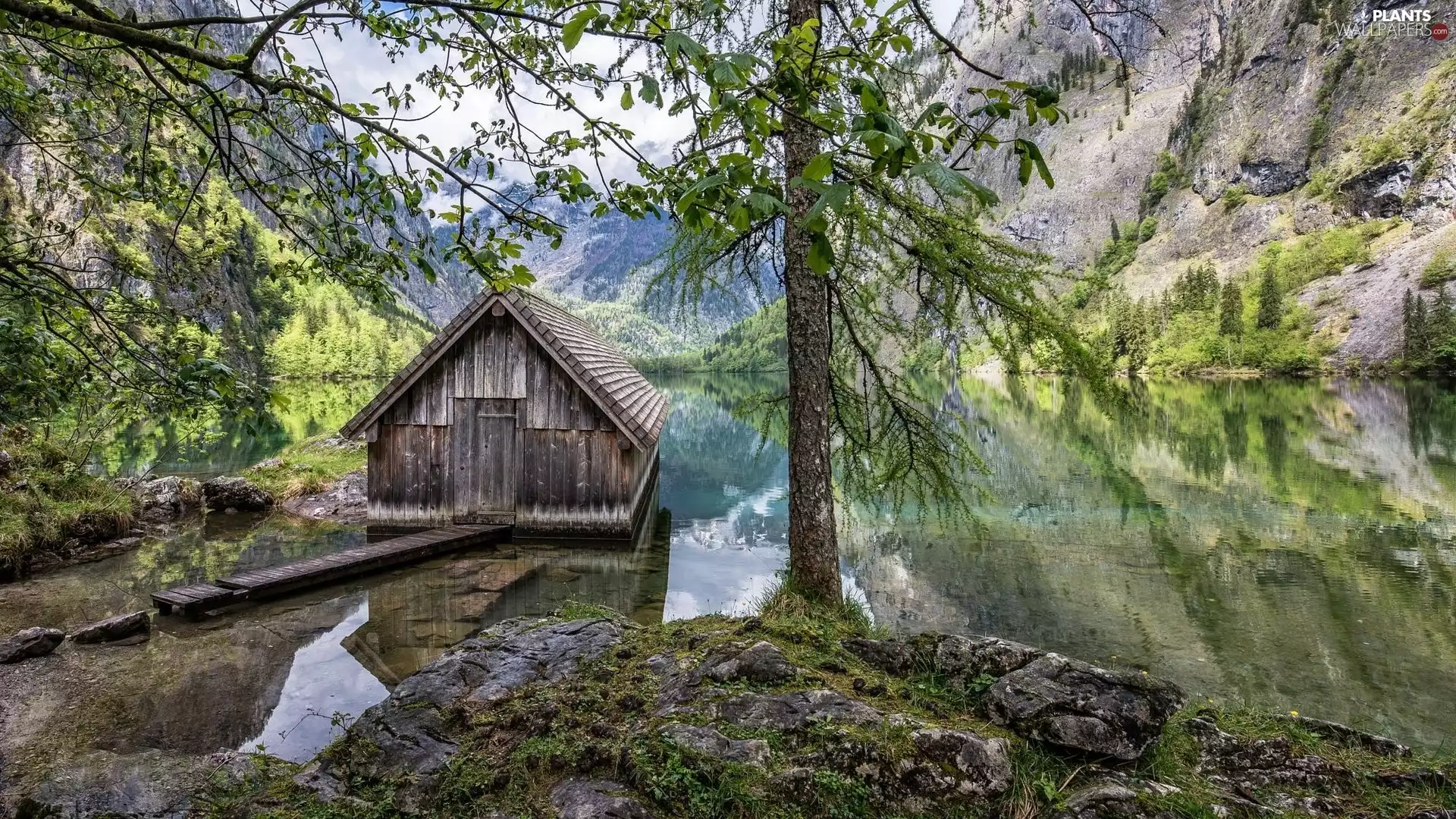 Bavaria, Germany, Mountains, Wooden, trees, Berchtesgaden National Park, Lake Koenigssee, cottage