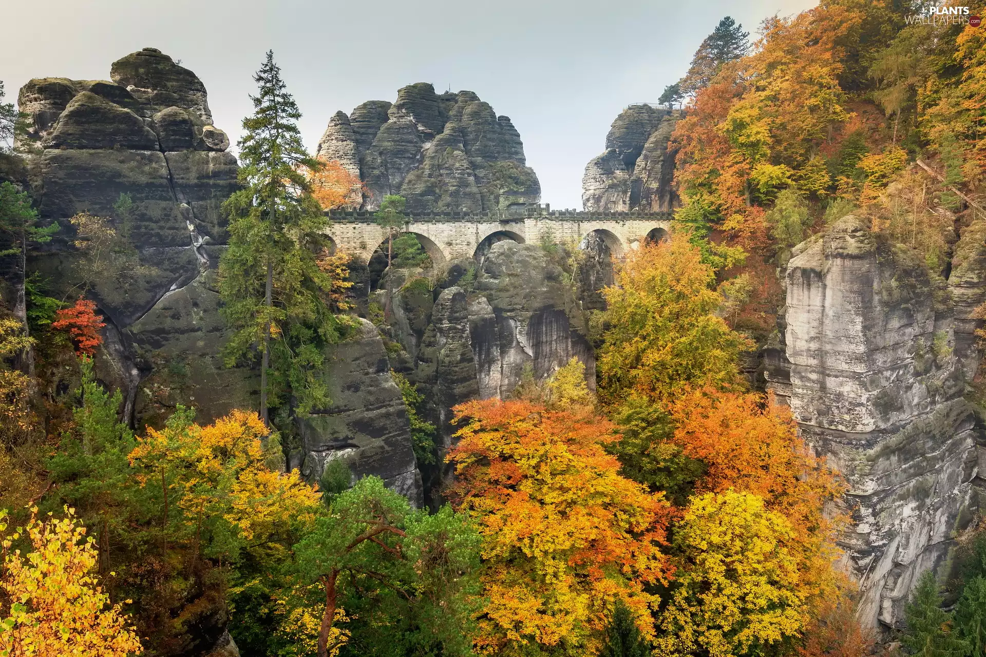 Rock Formation, Děčínská vrchovina, viewes, Saxon Switzerland National Park, bridge, autumn, trees, Germany, Bastei, rocks