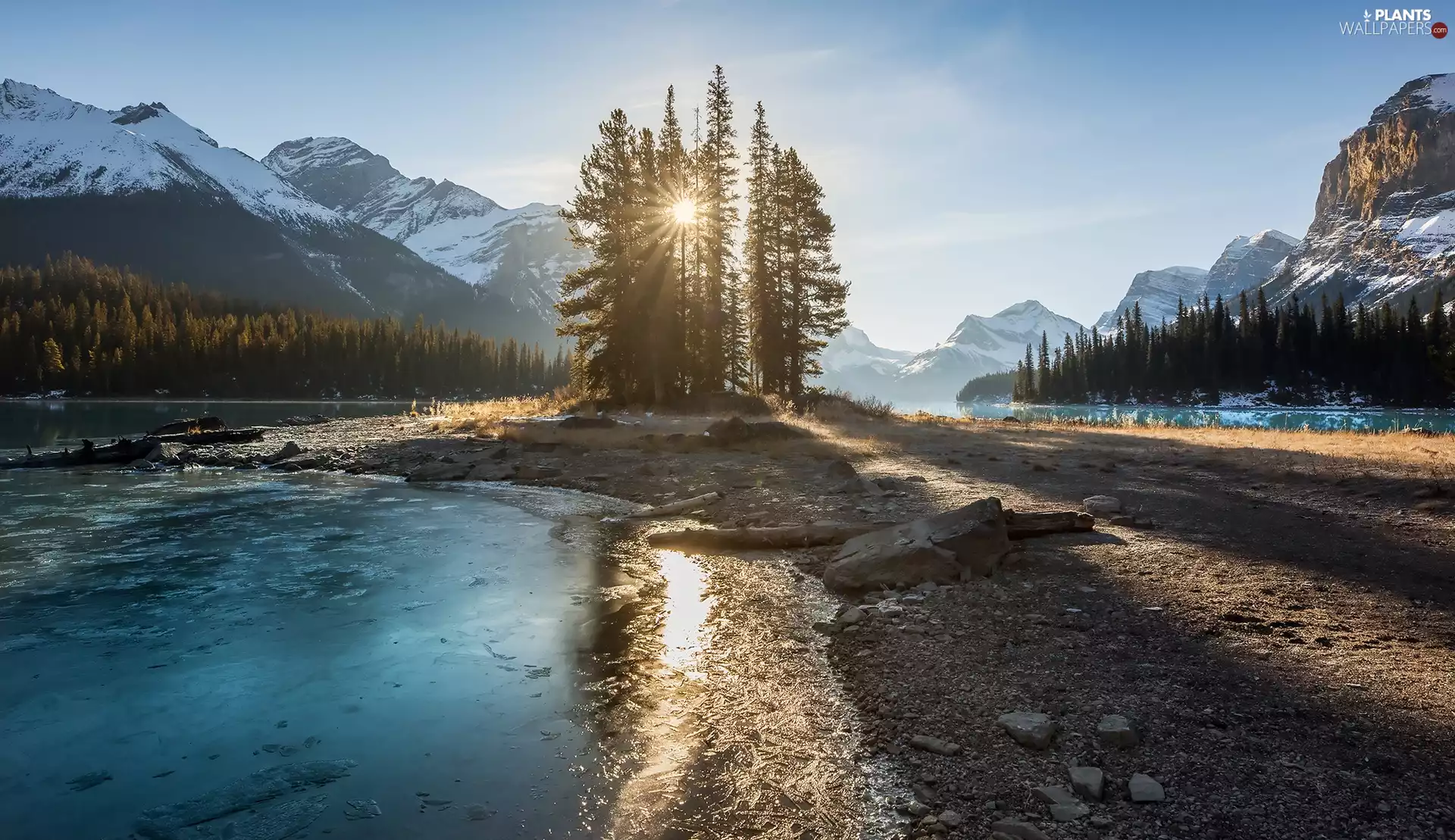 Maligne Lake, trees, Canada, viewes, Alberta, Mountains, Jasper National Park, rays of the Sun