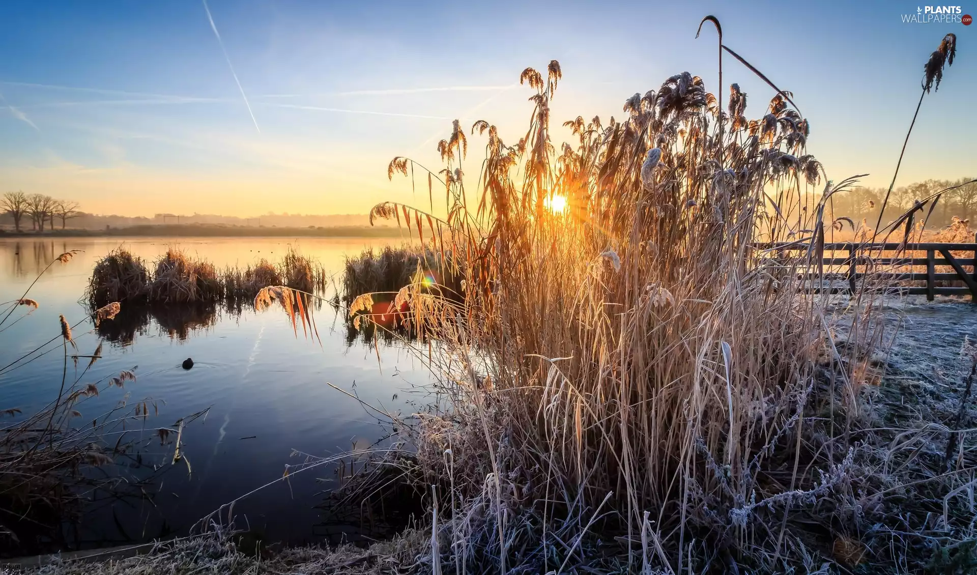 Overijssel Province, Netherlands, Enschede Municipality, Kristalbad Nature Reserve, White frost, Great Sunsets, lake, grass, Water Reservoir
