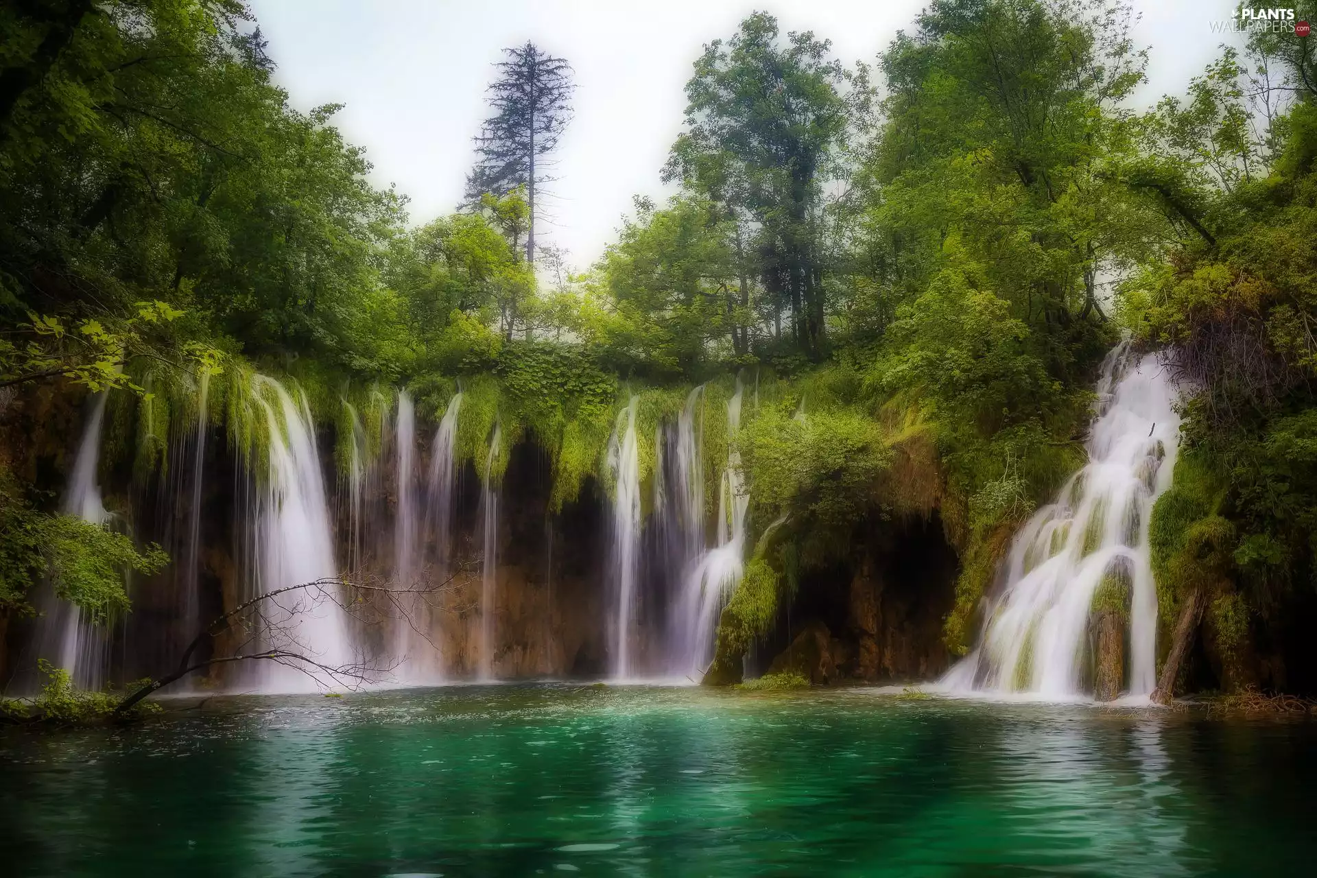 lake, Coartia, Plitvice Lakes National Park, waterfalls, trees, viewes, nature, forest, rocks