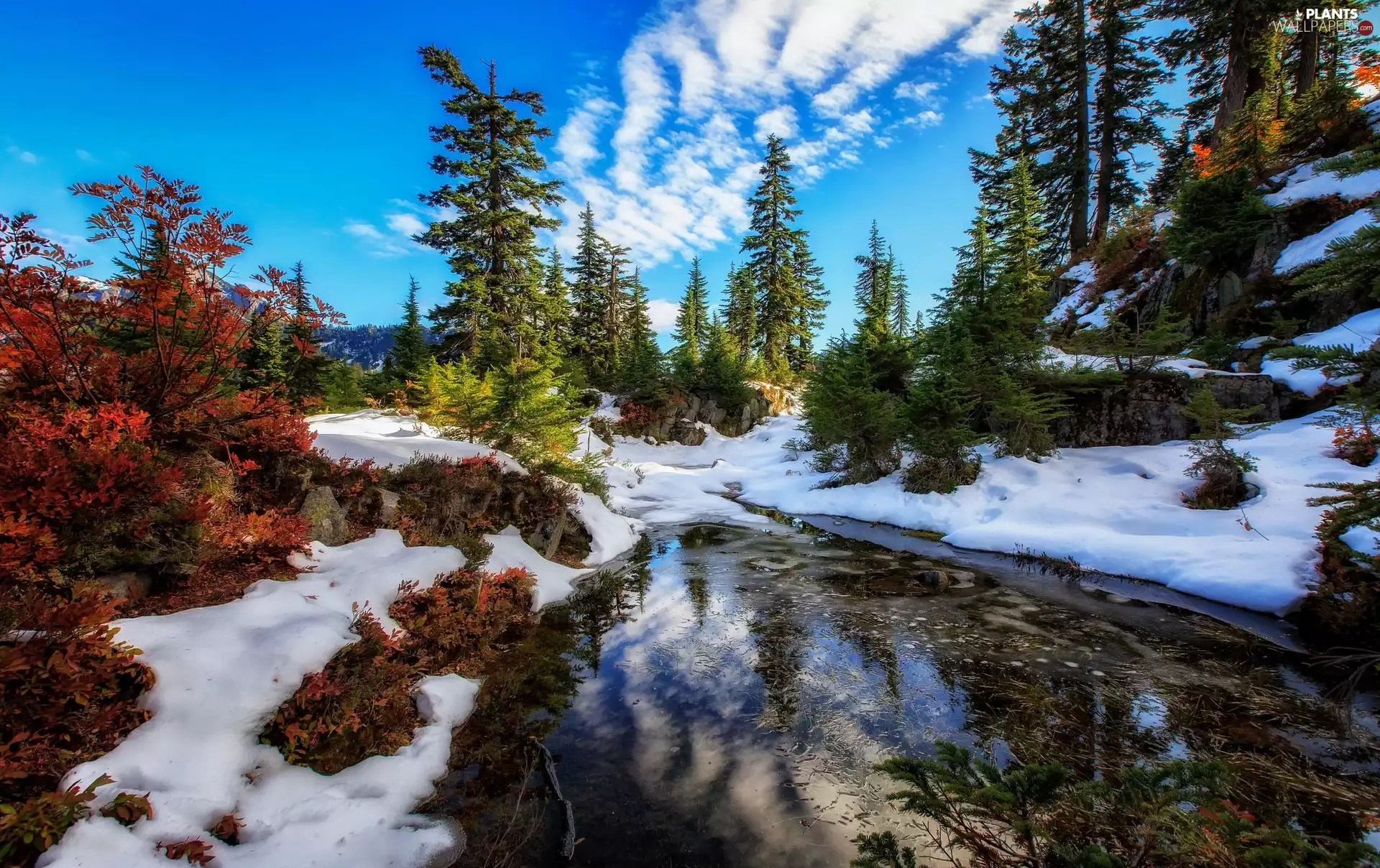 Alpine Lakes Wilderness Nature Reserve, The United States, winter, Spruces, lake, Washington State