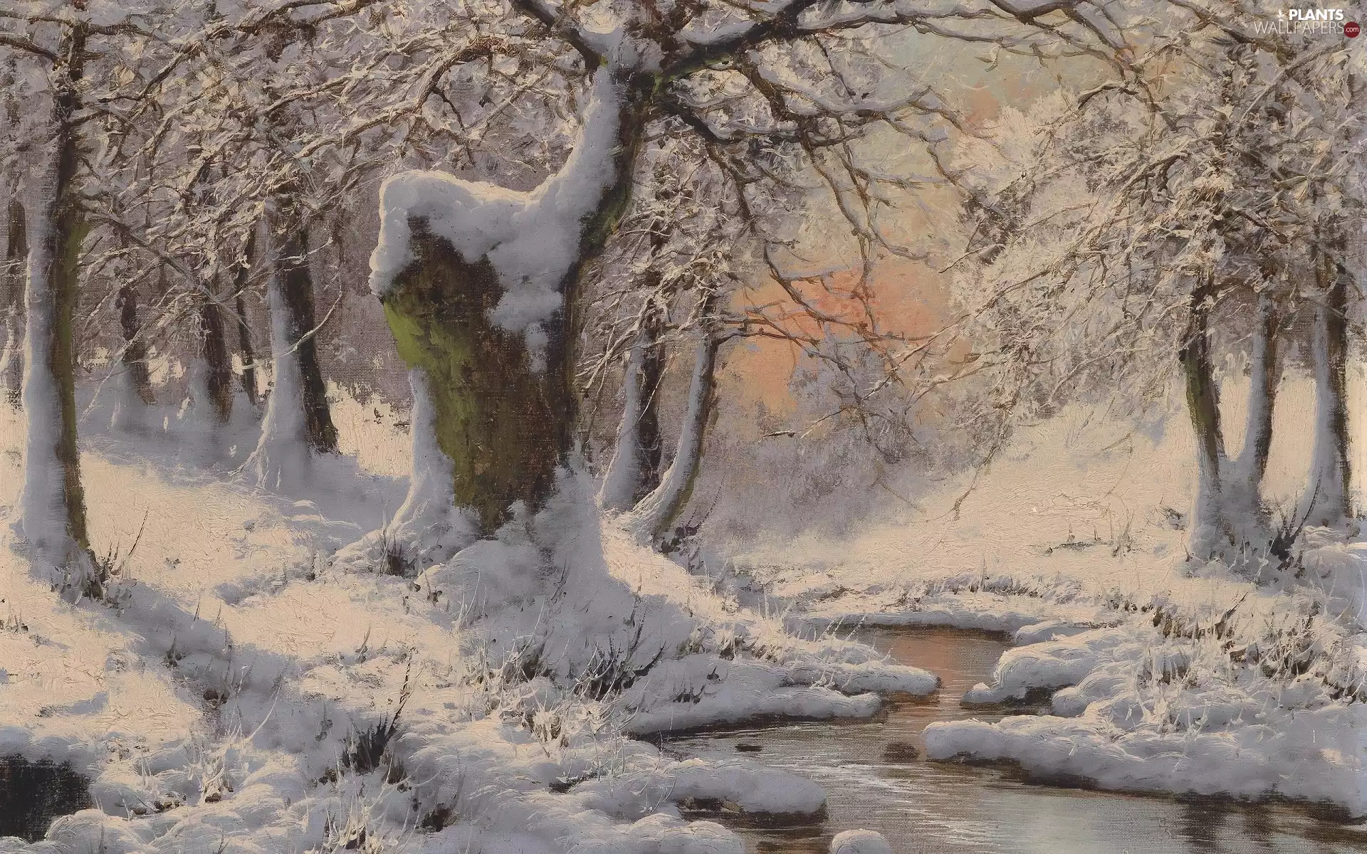 viewes, copy, forest, Great Sunsets, Snowy, picture, winter, Laszlo Neogrady, River, trees