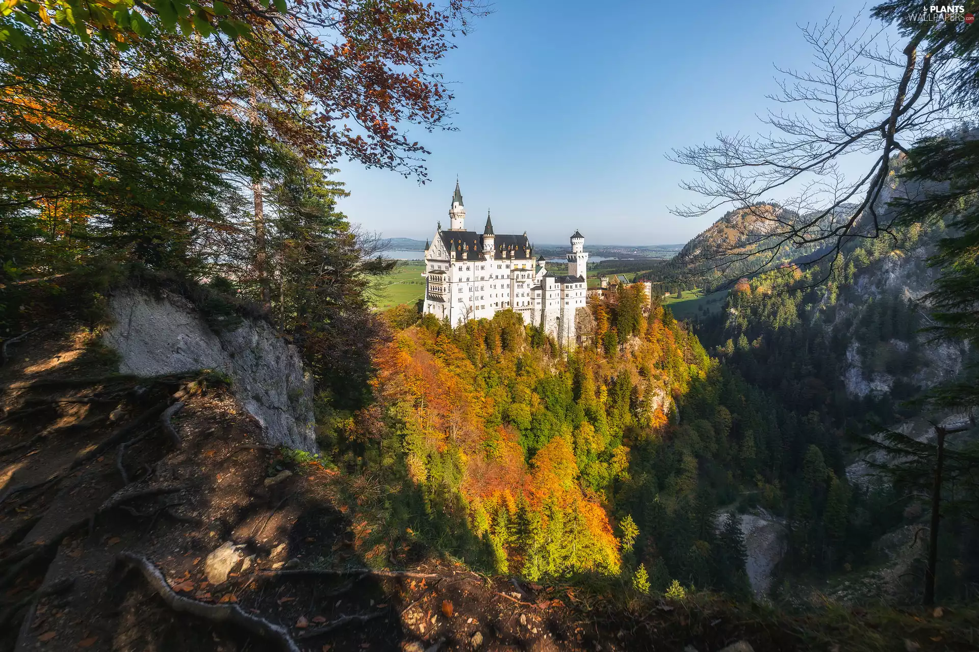 Neuschwanstein Castle, rocks, autumn, woods, viewes, Bavaria, Germany, trees