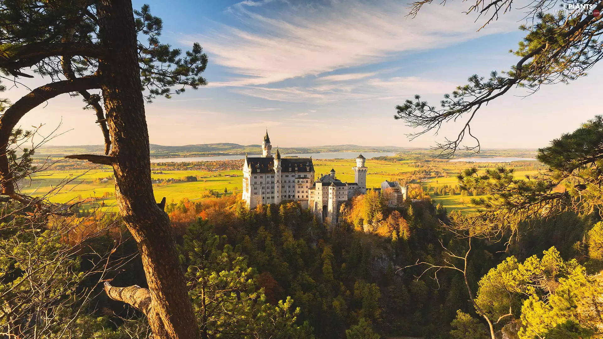 Neuschwanstein Castle, trees, Germany, viewes, Bavaria, Hill, autumn, field