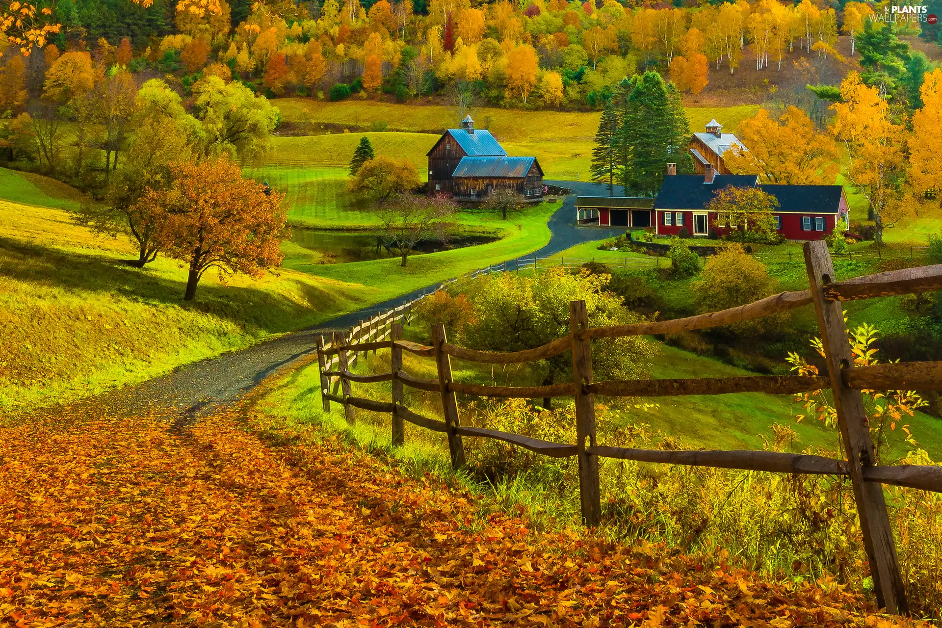 fallen, trees, State of Vermont, fence, The United States, Pomfret, Way, Leaf, Pond - car, autumn, viewes, New England, Houses