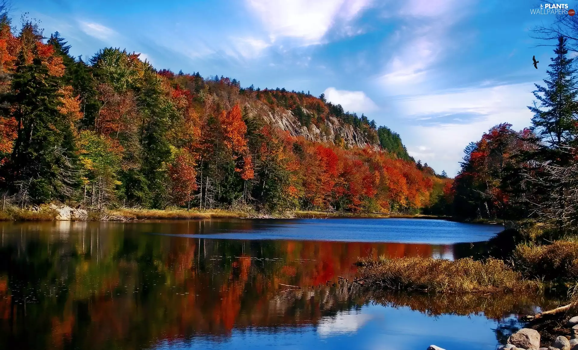 Adirondack Park, autumn, lake, trees, Mountains, State of New York, The United States, viewes