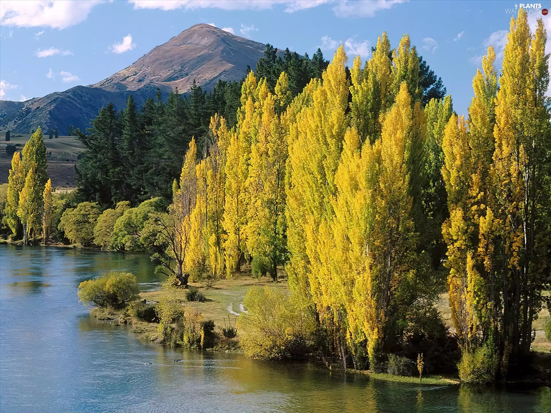 viewes, lake, Wanaka, New Zeland, Mountains, trees