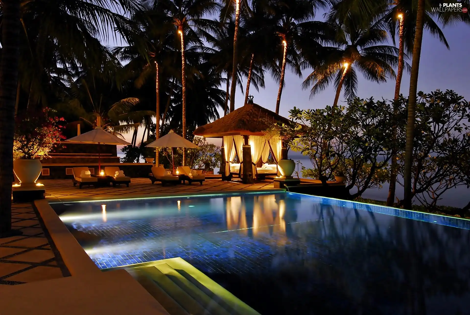 Night, Bali, Pool, Palms, Hotel hall