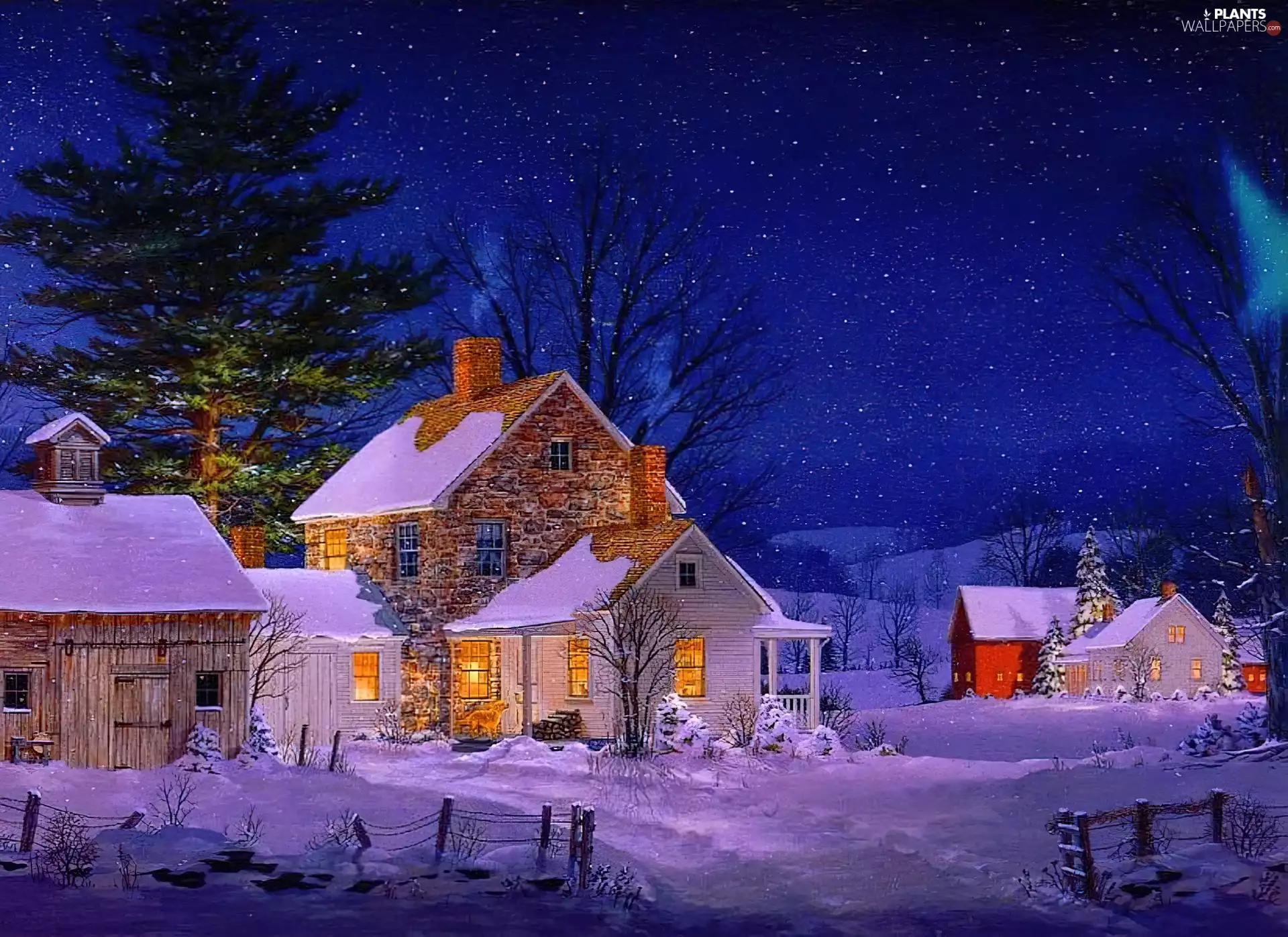 Night, winter, buildings