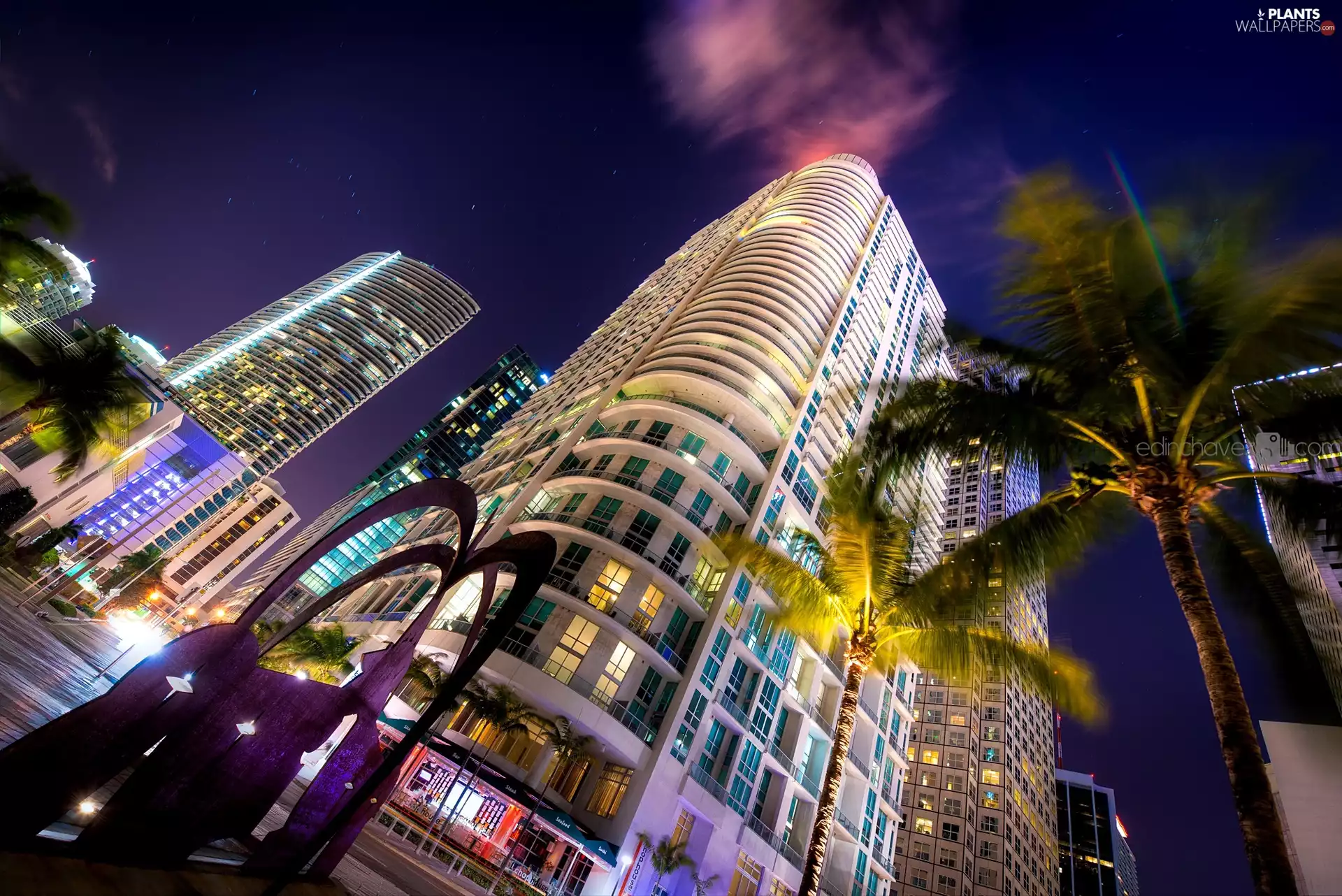 Palms, Night, Floryda, skyscrapers, Miami