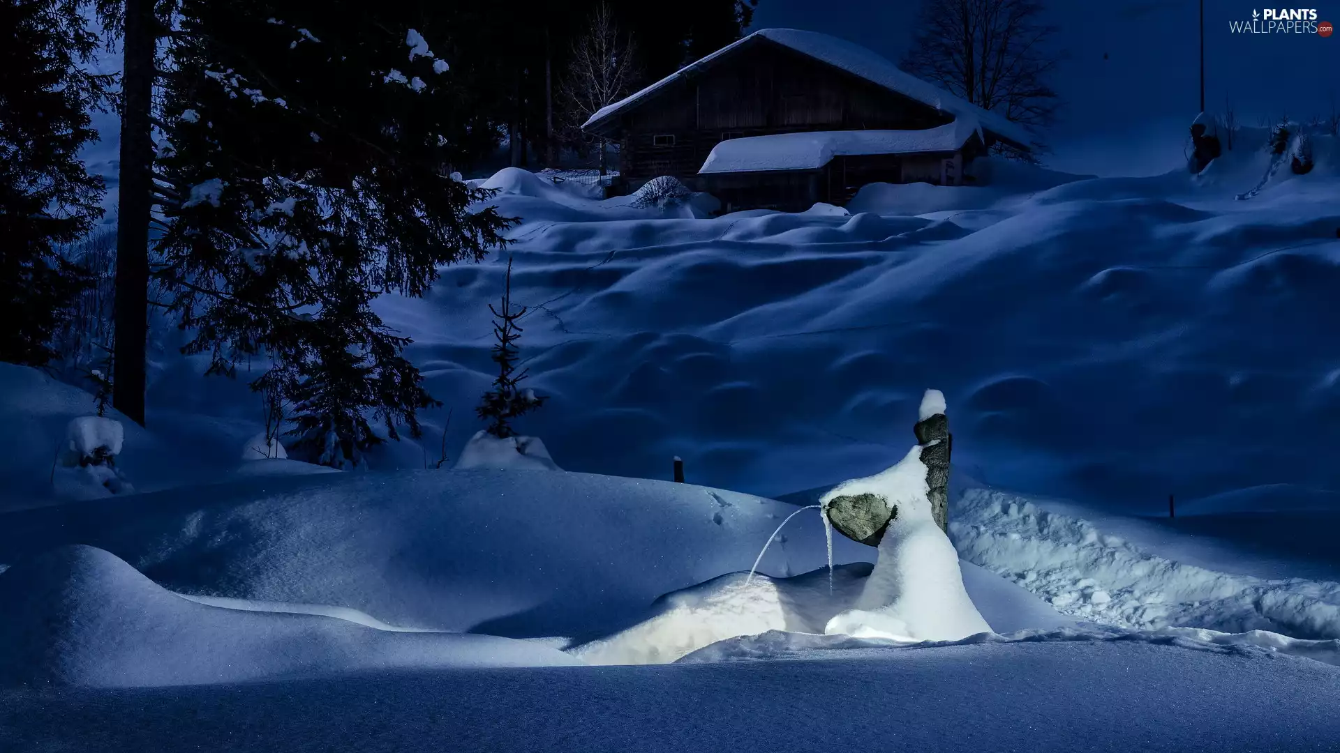 drifts, winter, viewes, Night, trees, house