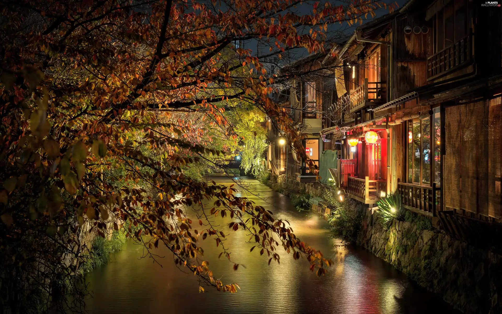 Houses, Lamps, Japan, lighting, Kioto, River, trees, Night