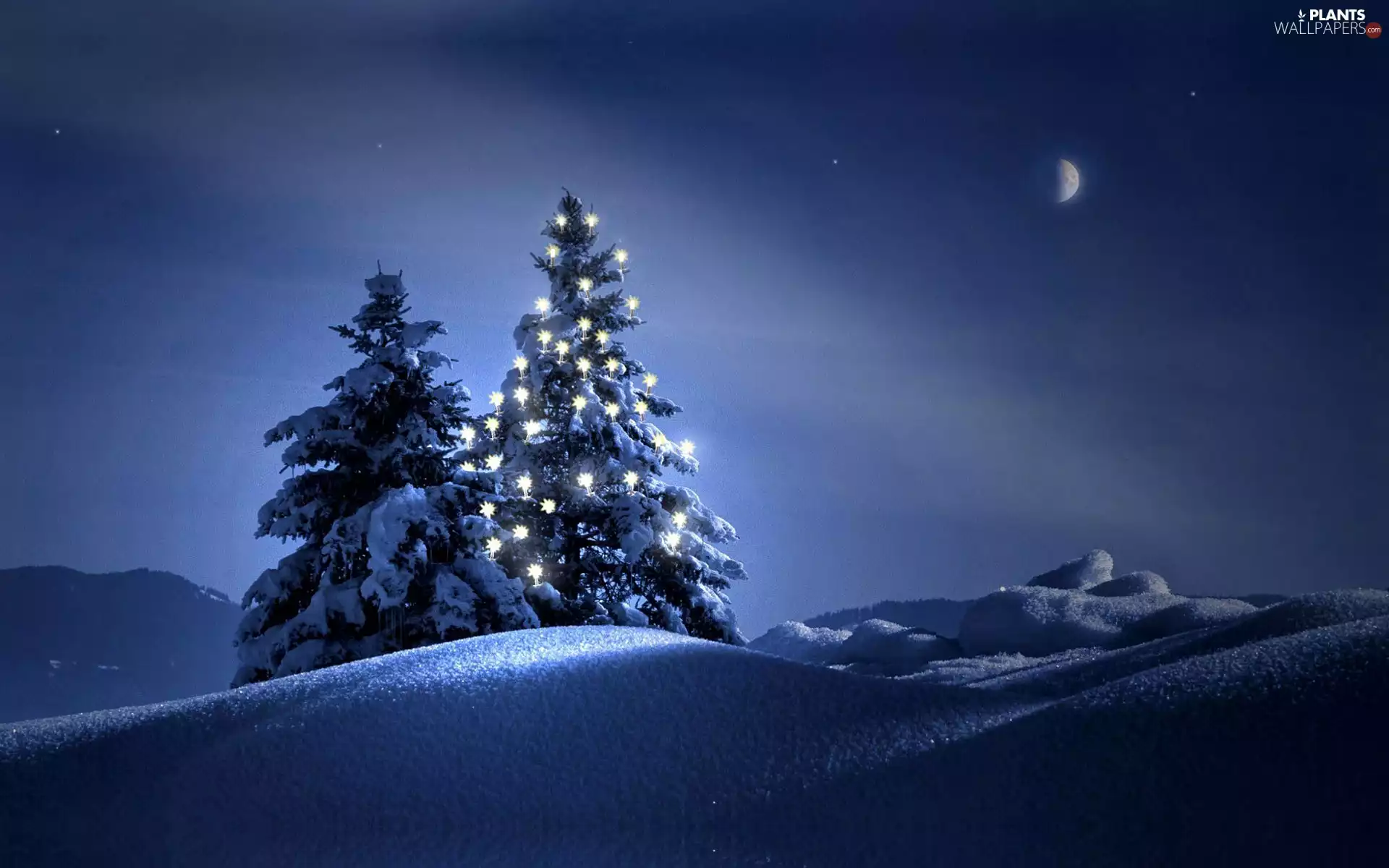 christmas tree, winter, Night, illuminated, Mountains