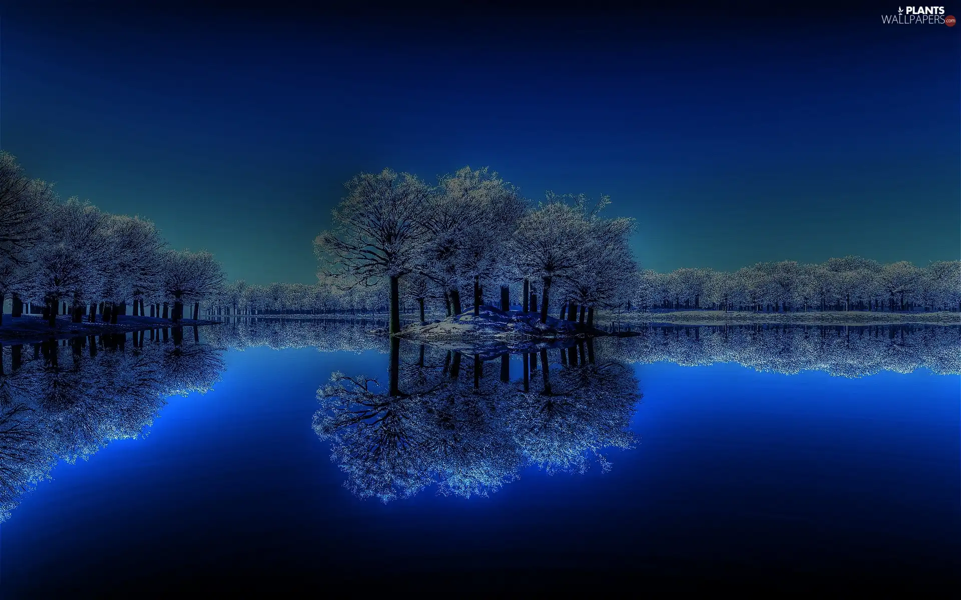 reflection, lake, Night, trees
