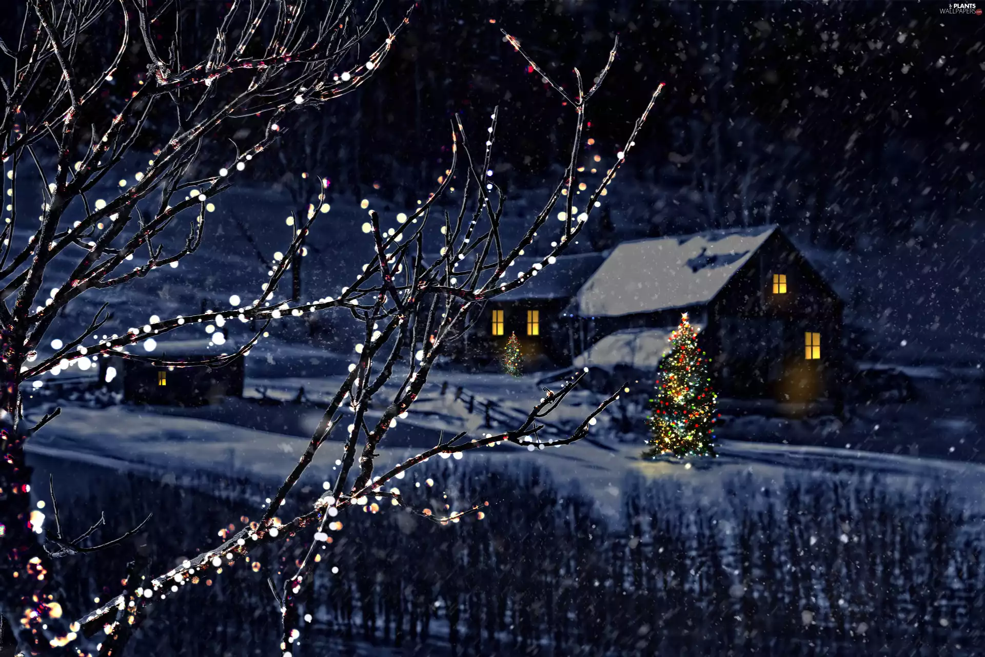 Night, winter, God, birth, viewes, snow, christmas tree, trees, Houses