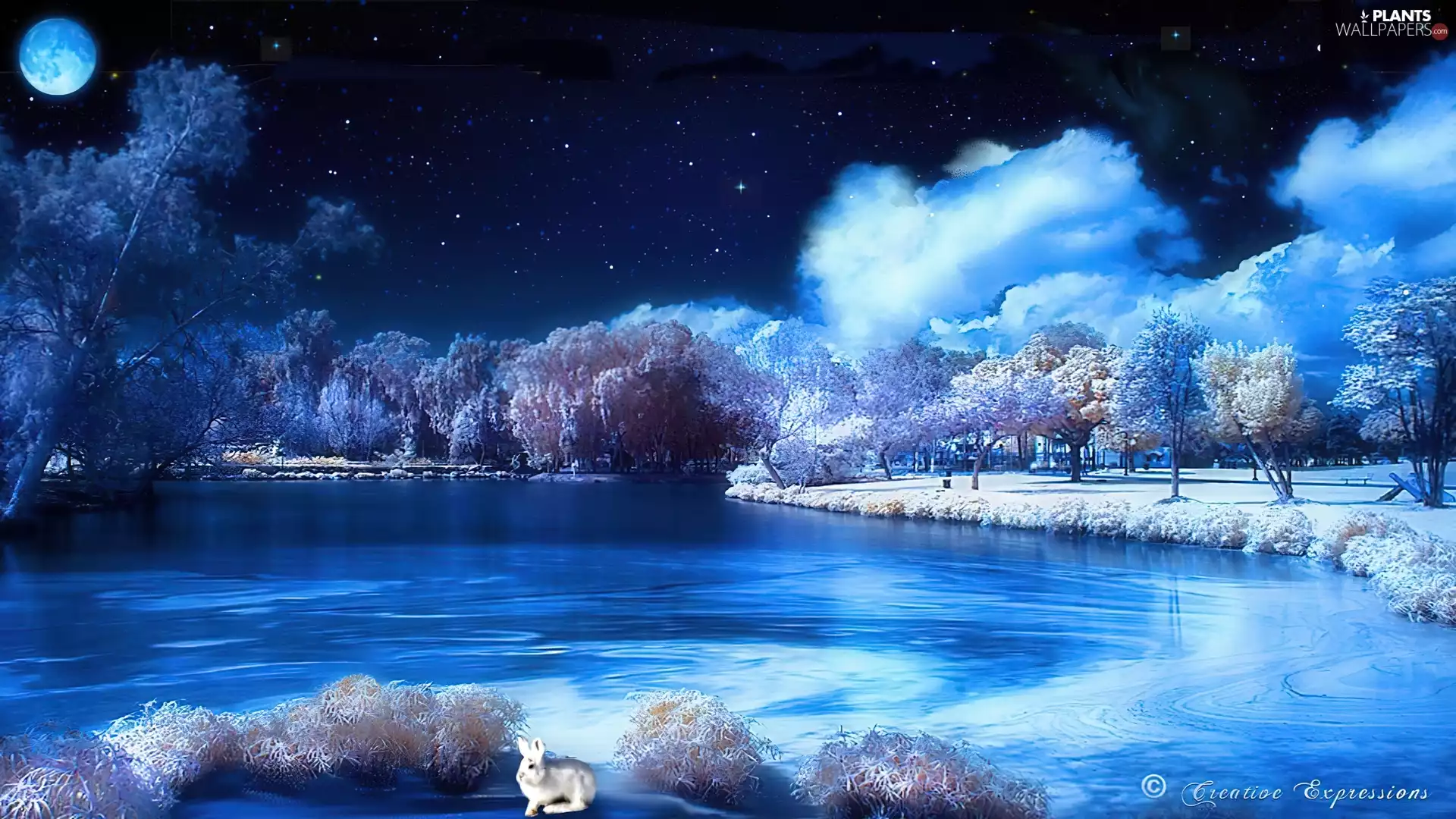 winter, Night, trees, viewes, lake