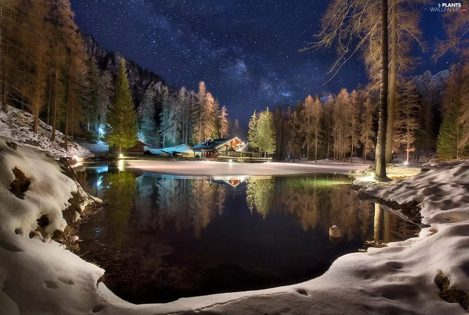 forest, Home, star, Night, lake, winter