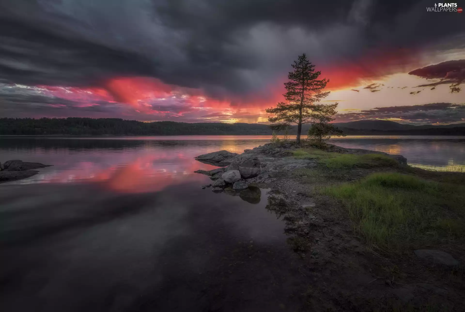 Ringerike, Norway, clouds, trees, lake