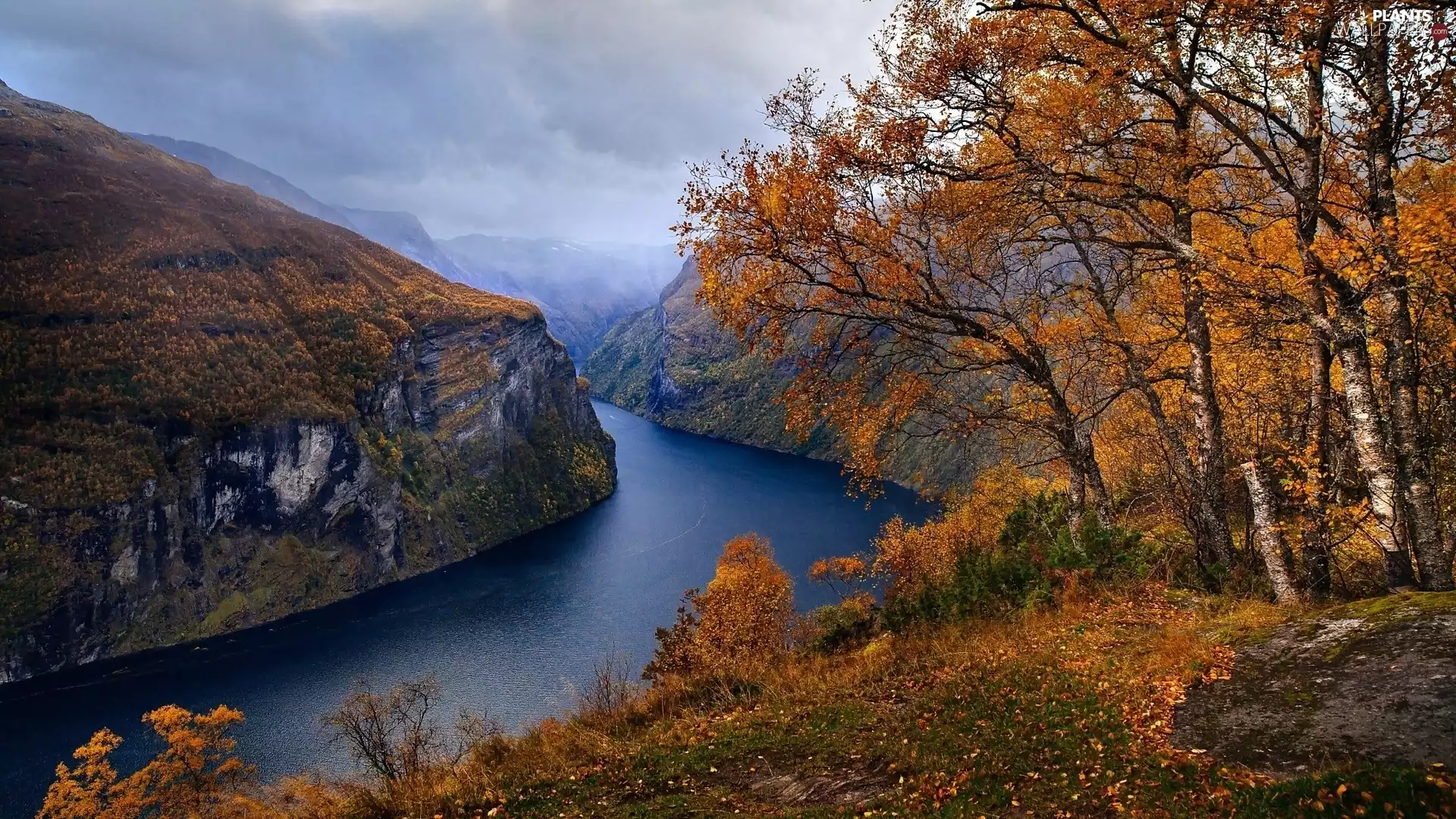 autumn, Mountains, viewes, Norway, trees, Fiord Geirangerfjorden