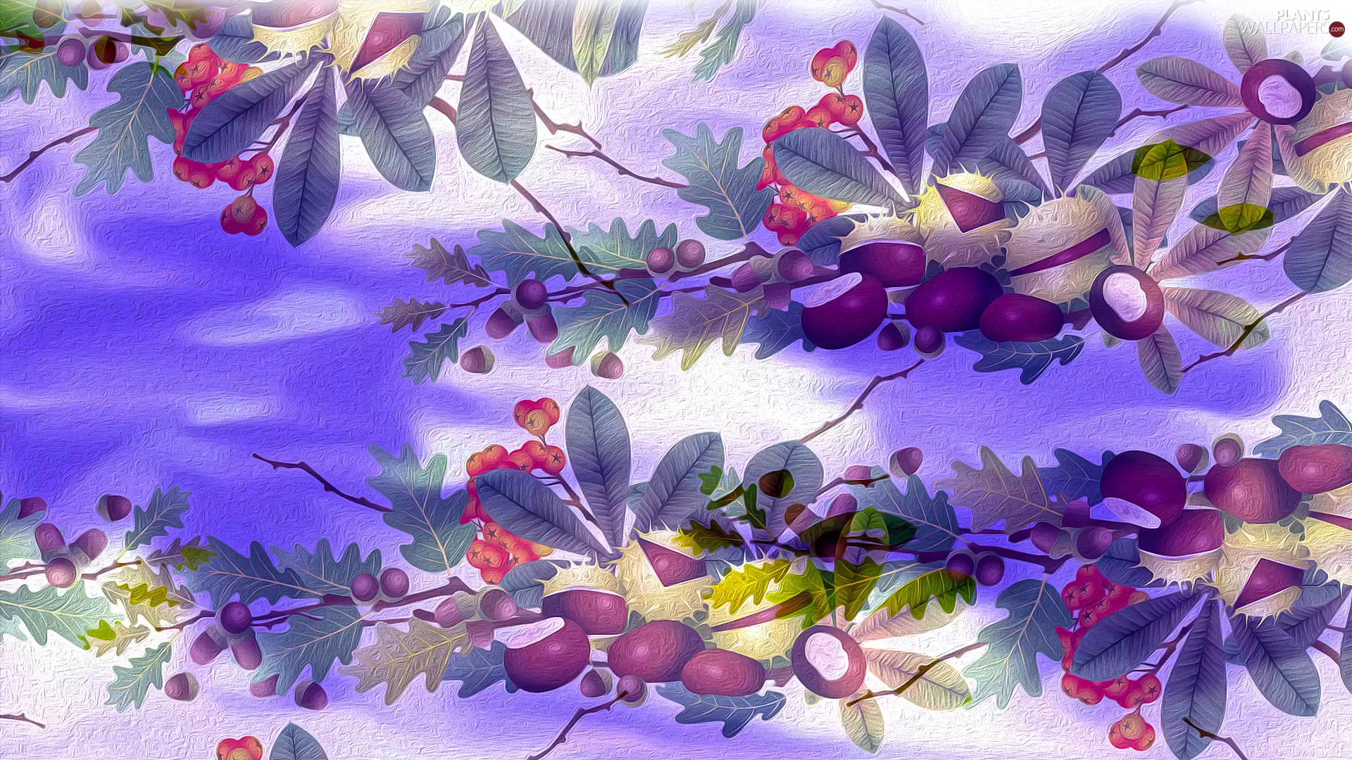 chestnuts, graphics, Acorns, oak, chestnut, Leaf