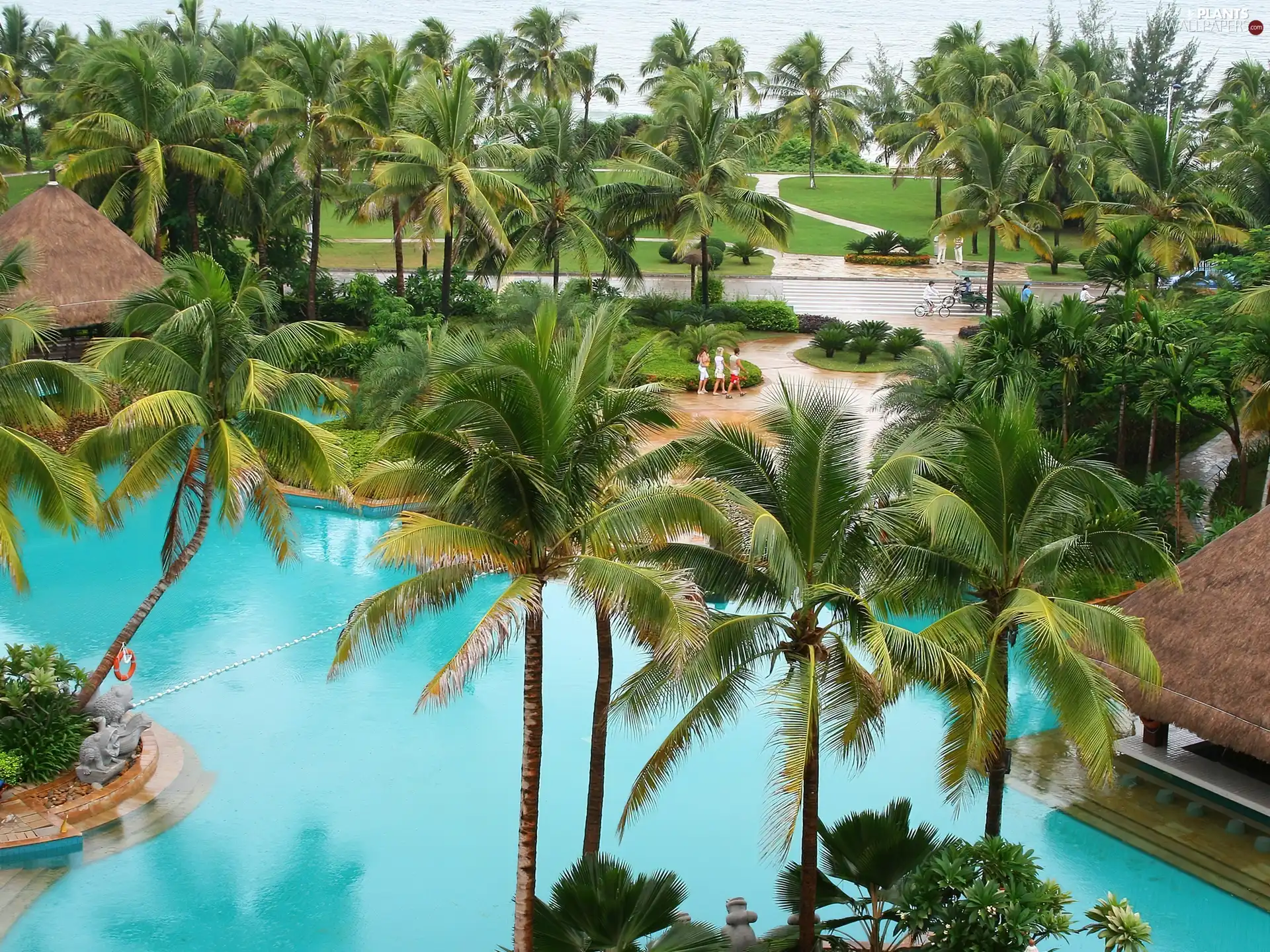 Palms, horizon, Ocean, Pool