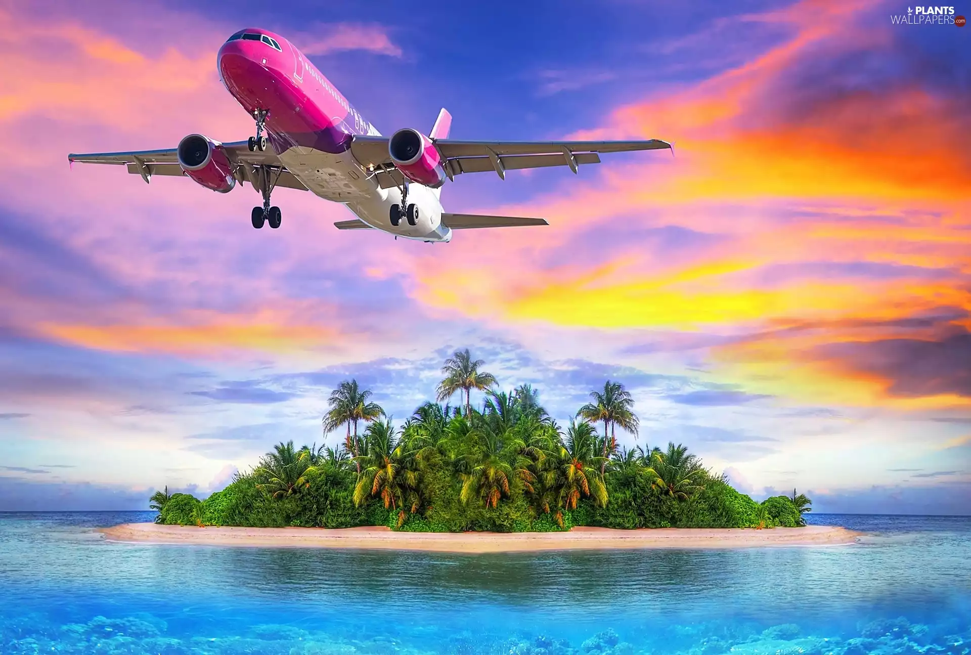 Palms, Ocean, plane, Island, Pink