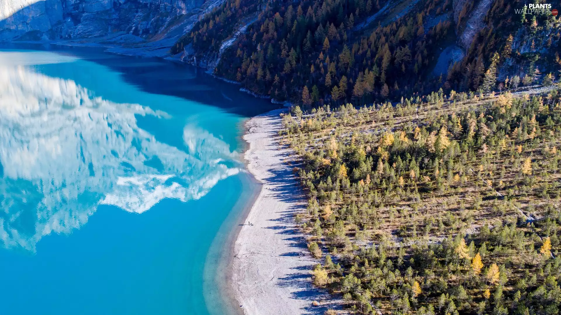 Bernese Alps, woods, Switzerland, trees, Canton of Bern, Mountains, Oeschinen Lake, viewes
