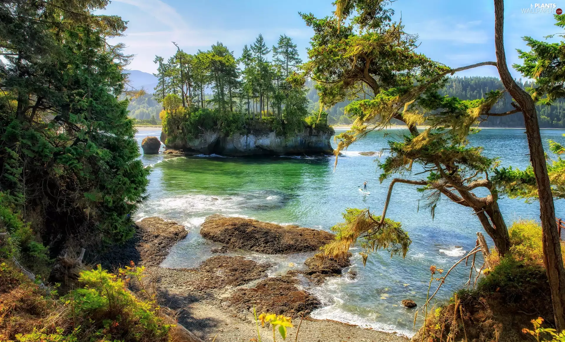 Washington State, The United States, Strait of Juan de Fuca, Park Salt Creek Recreation Area, viewes, woods, Islet, trees, lake