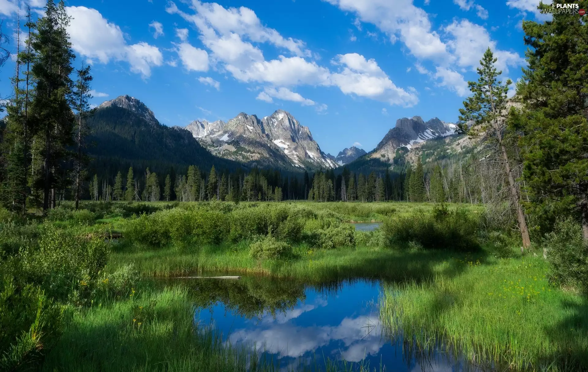 Sawtooth Range, Horstmann Peak, grass, trees, Backwaters, State of Idaho, The United States, viewes