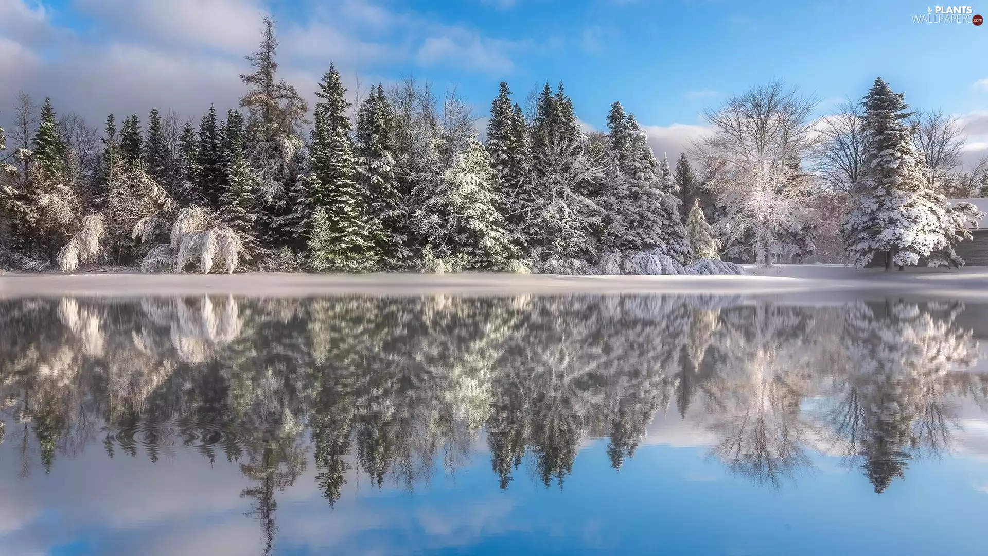 winter, Snowy, reflection, trees, River, Province of New Brunswick, Canada, viewes