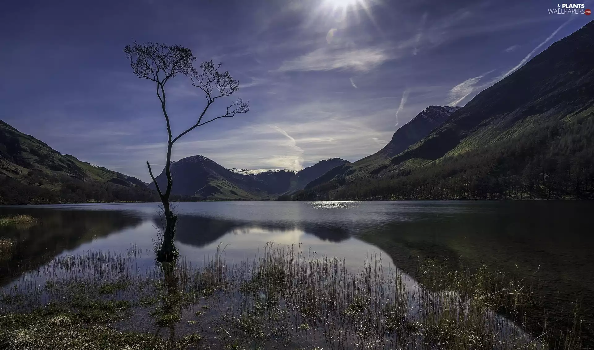 lake, Mountains, rays of the Sun, trees